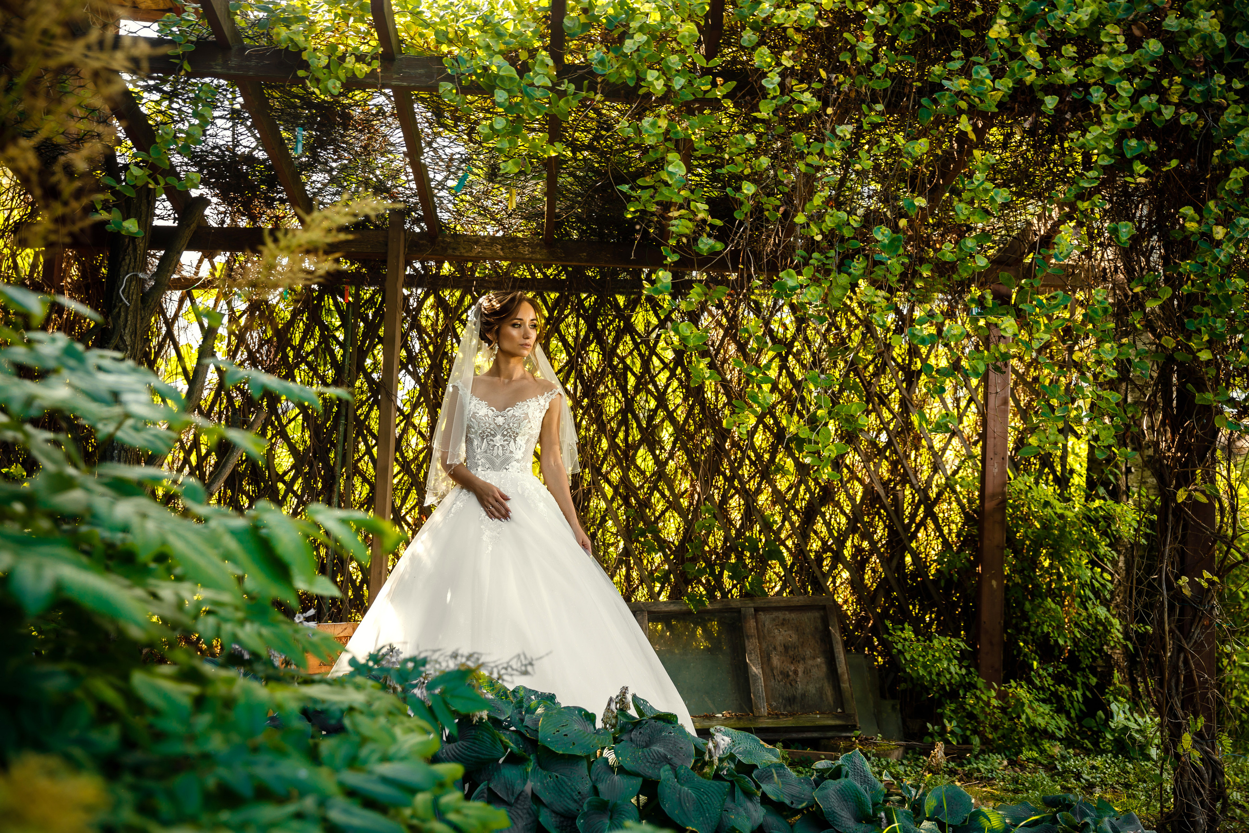 ЛЕРА. Фотограф в Петрозаводске Игорь Герасименко