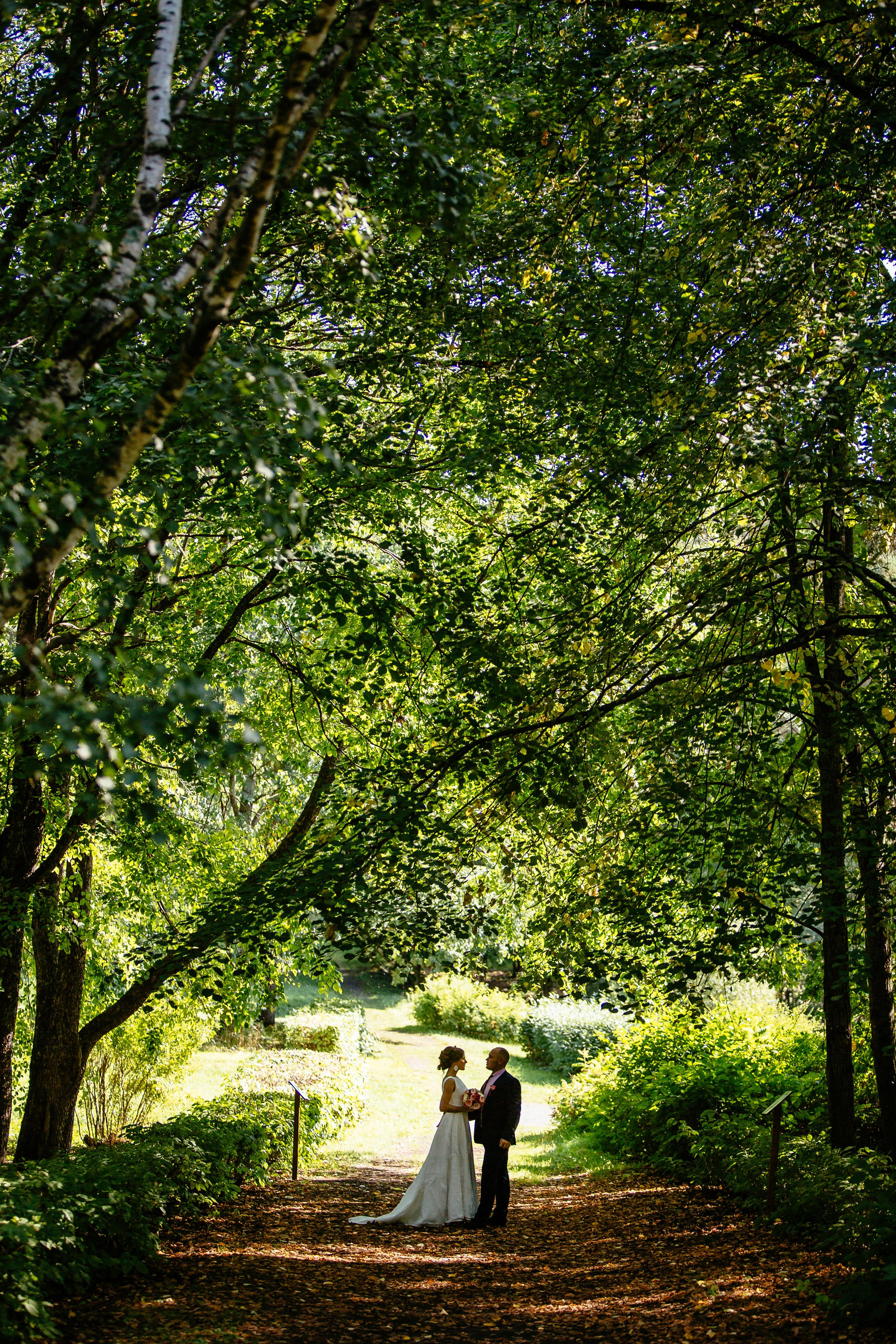 Жаркий август. Фотограф в Петрозаводске Игорь Герасименко