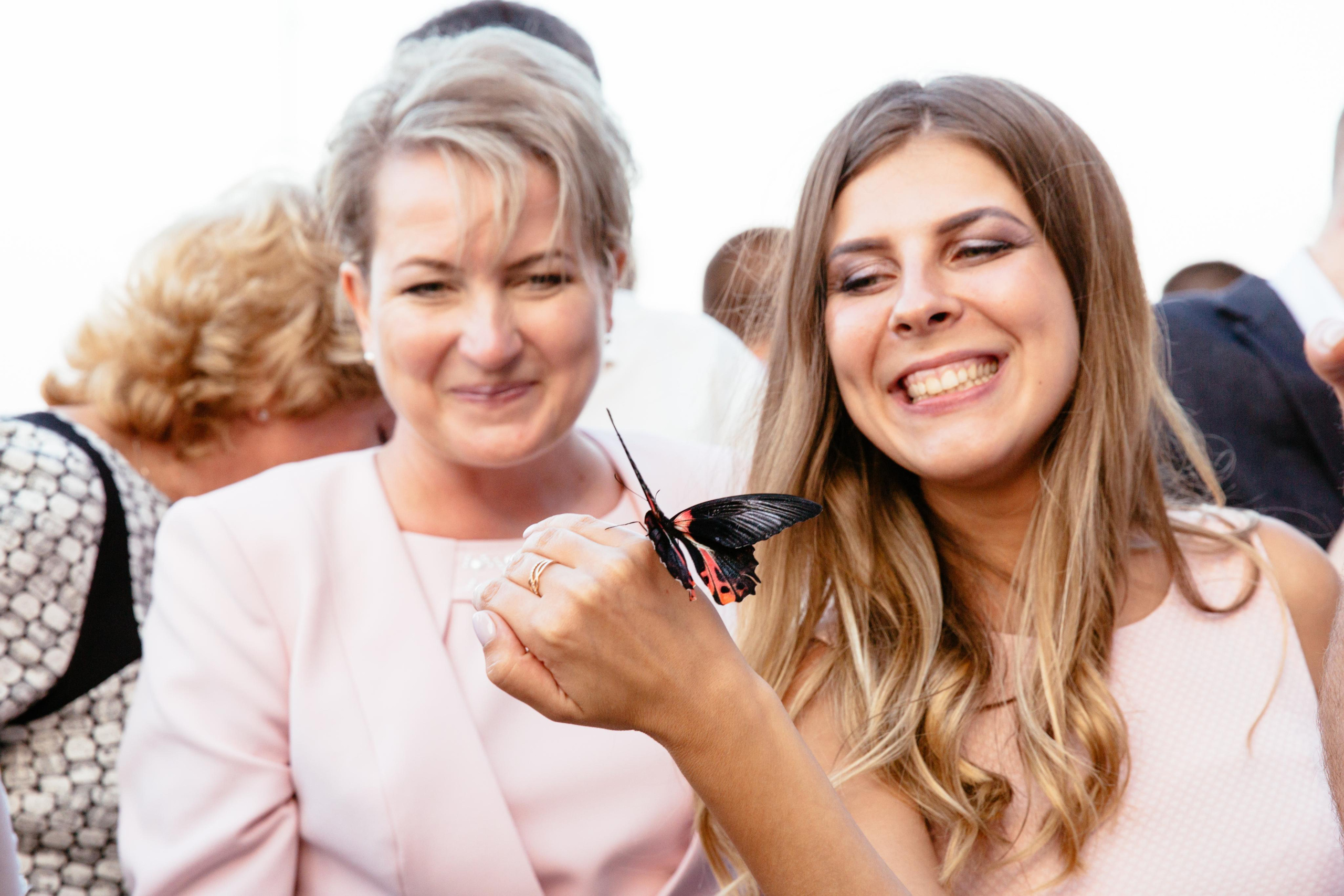 БАБОЧКИ. Фотограф в Петрозаводске Игорь Герасименко