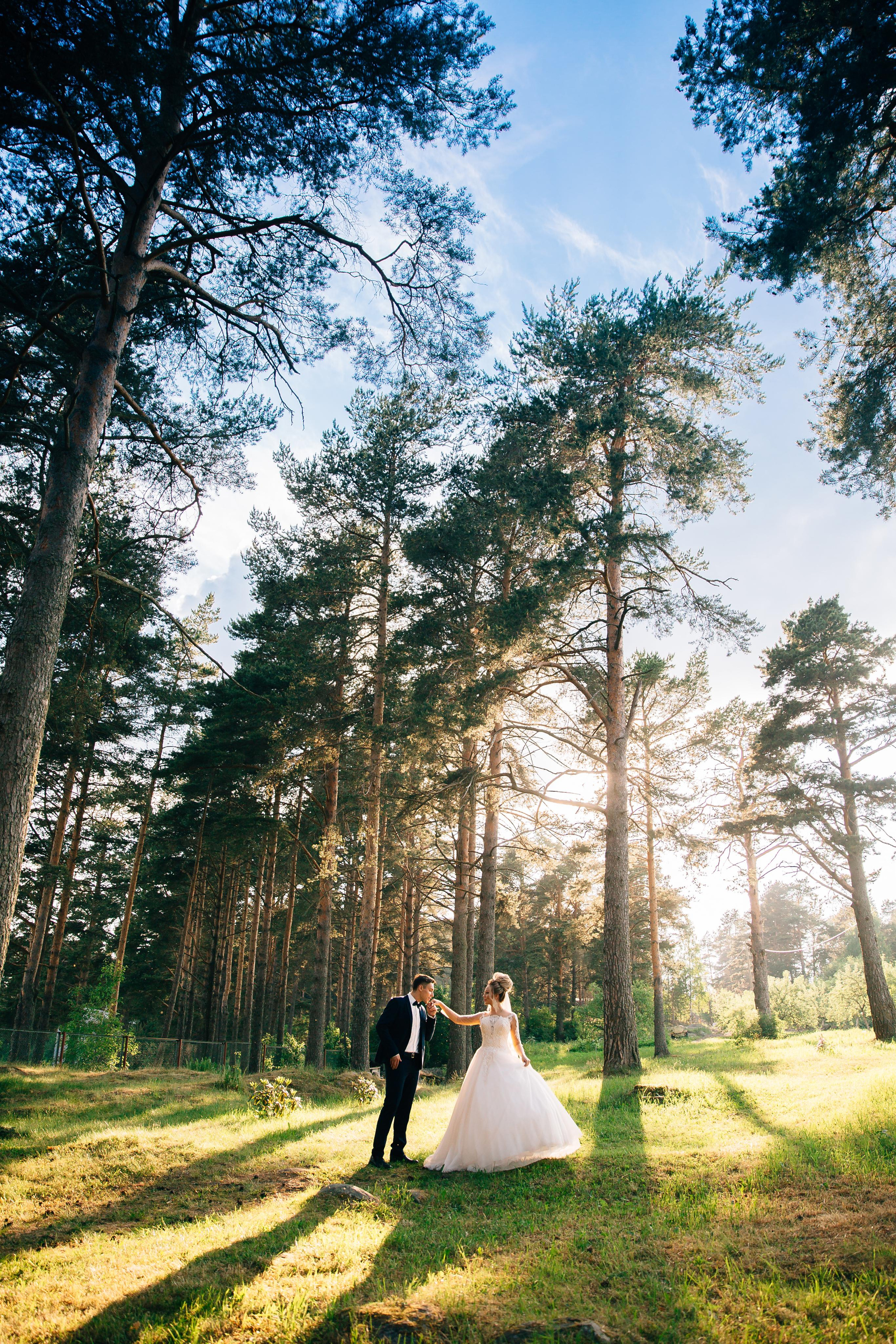 Ботанический сад. Фотограф в Петрозаводске Игорь Герасименко