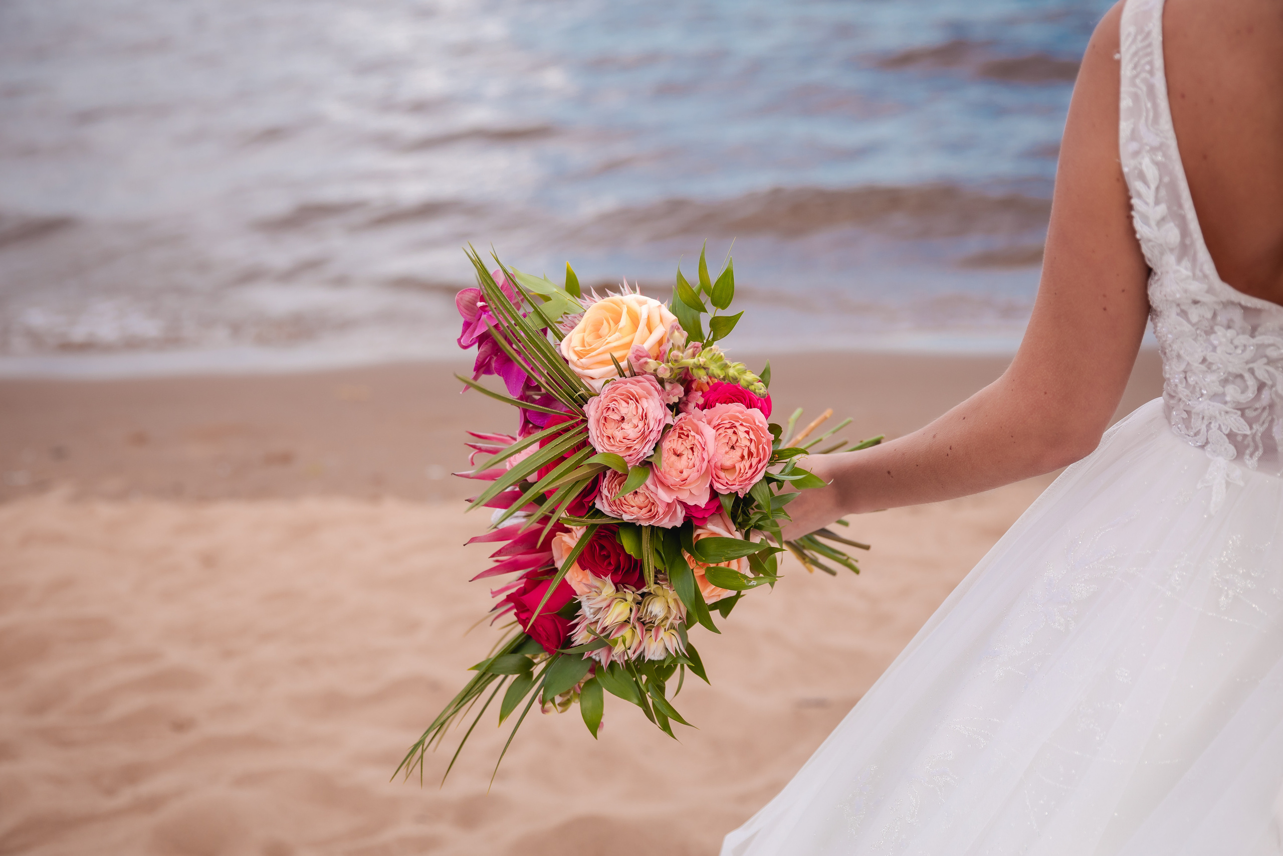 Розовый фламинго. Фотограф в Петрозаводске Игорь Герасименко