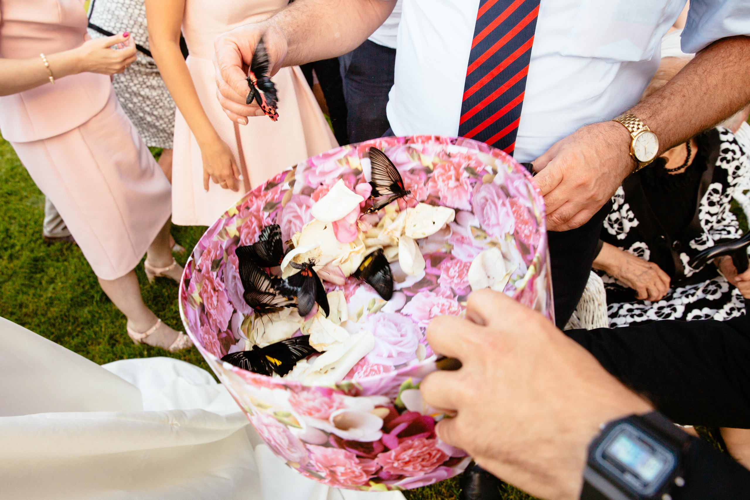 БАБОЧКИ. Фотограф в Петрозаводске Игорь Герасименко