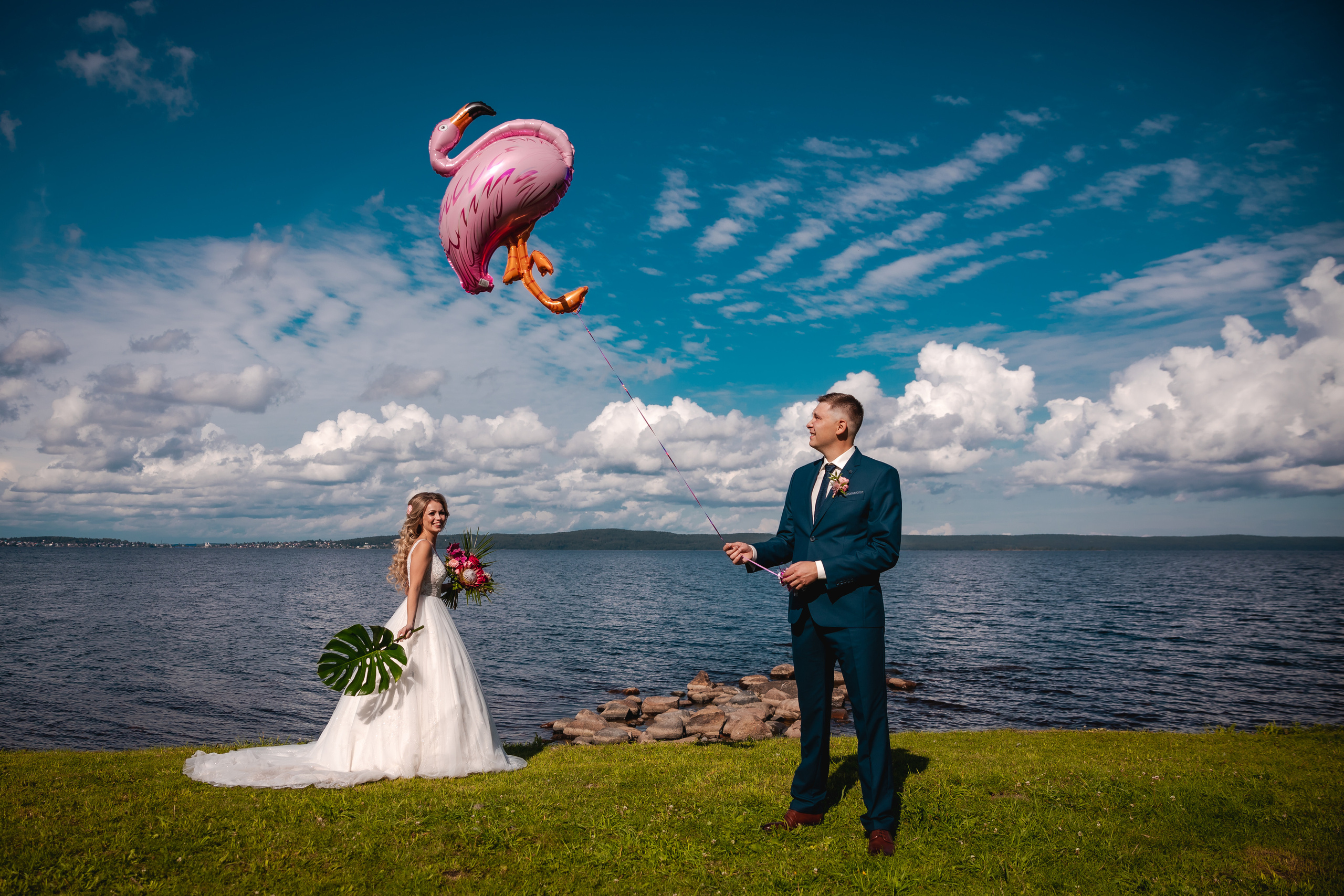 Розовый фламинго. Фотограф в Петрозаводске Игорь Герасименко