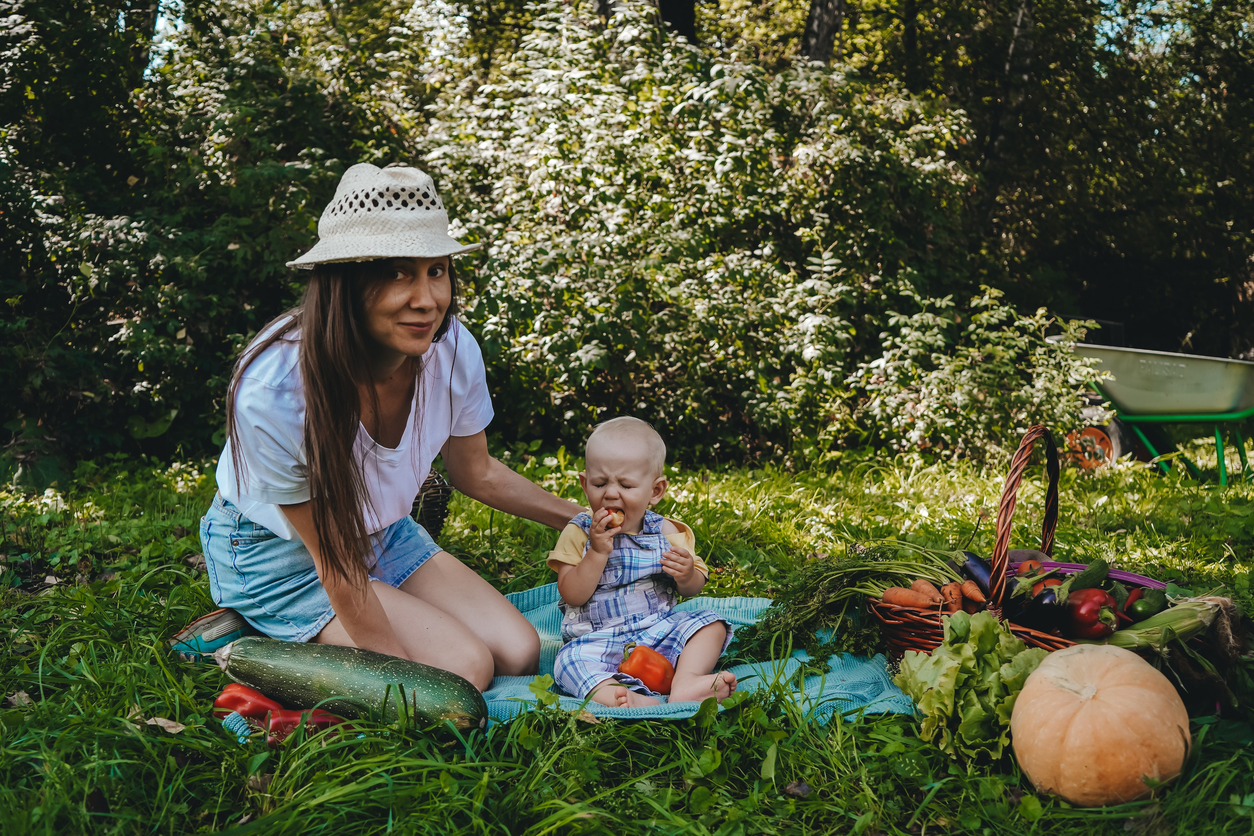 Аня и Рома: маленький фермер. Главная