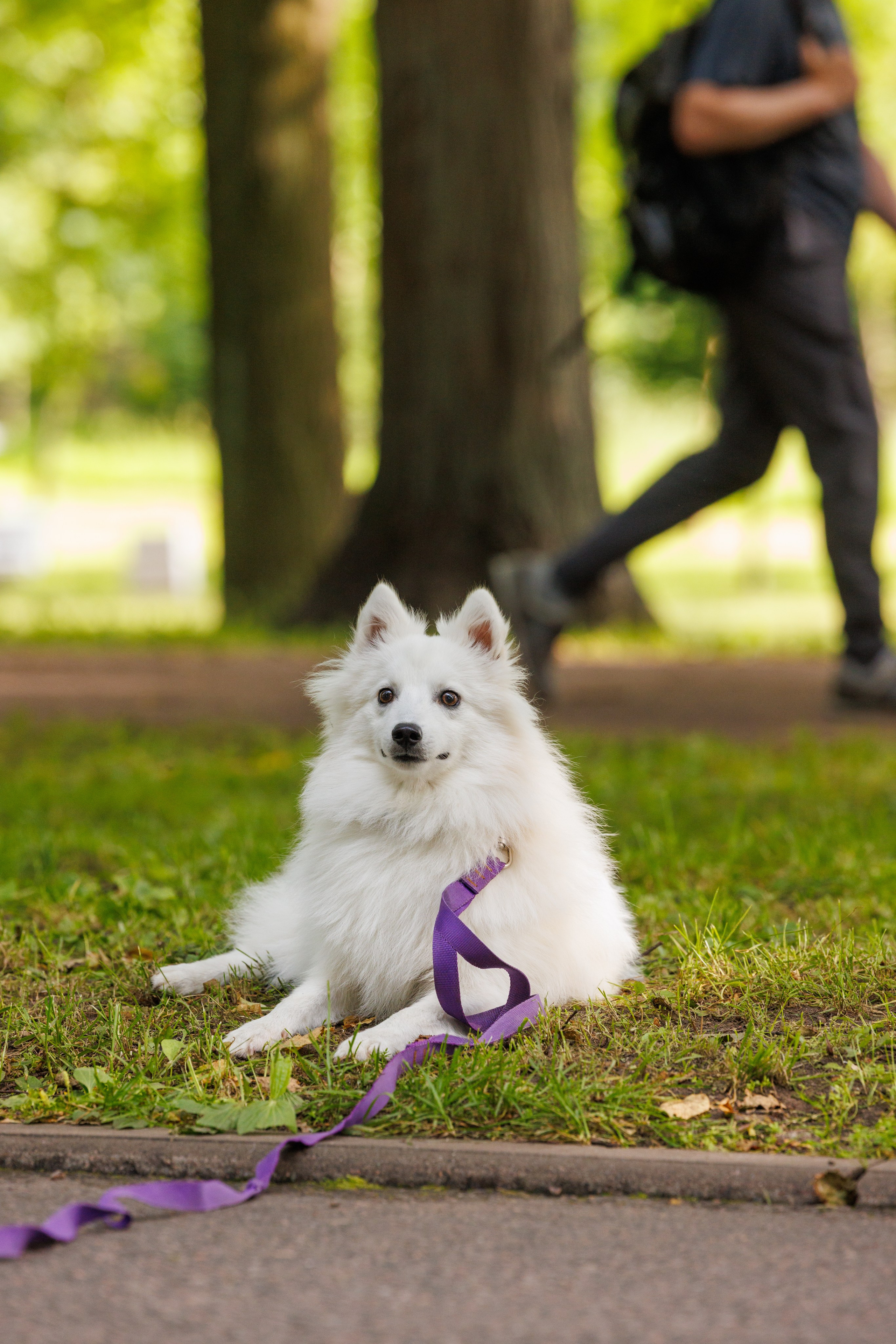 PetShopDays2026. Фотограф Александр Заломаев