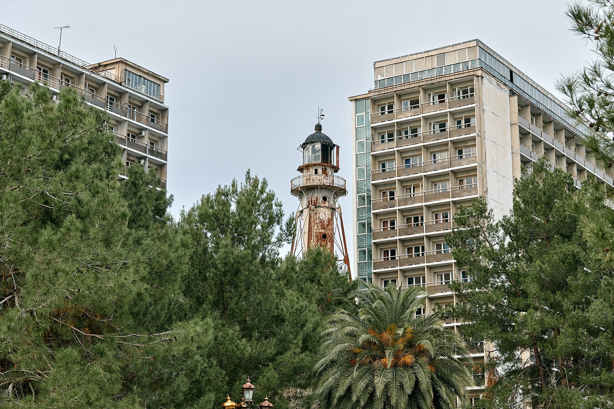 Пицунда, Абхазия. Декабрь 2024. Фотографии отовсюду и обо всем