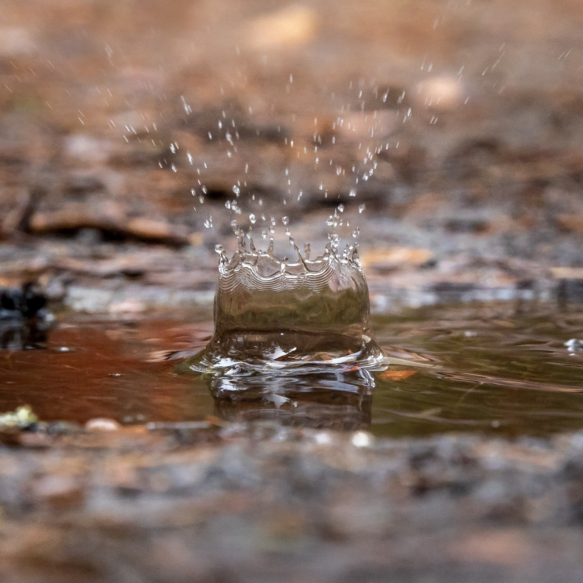 Путешествия