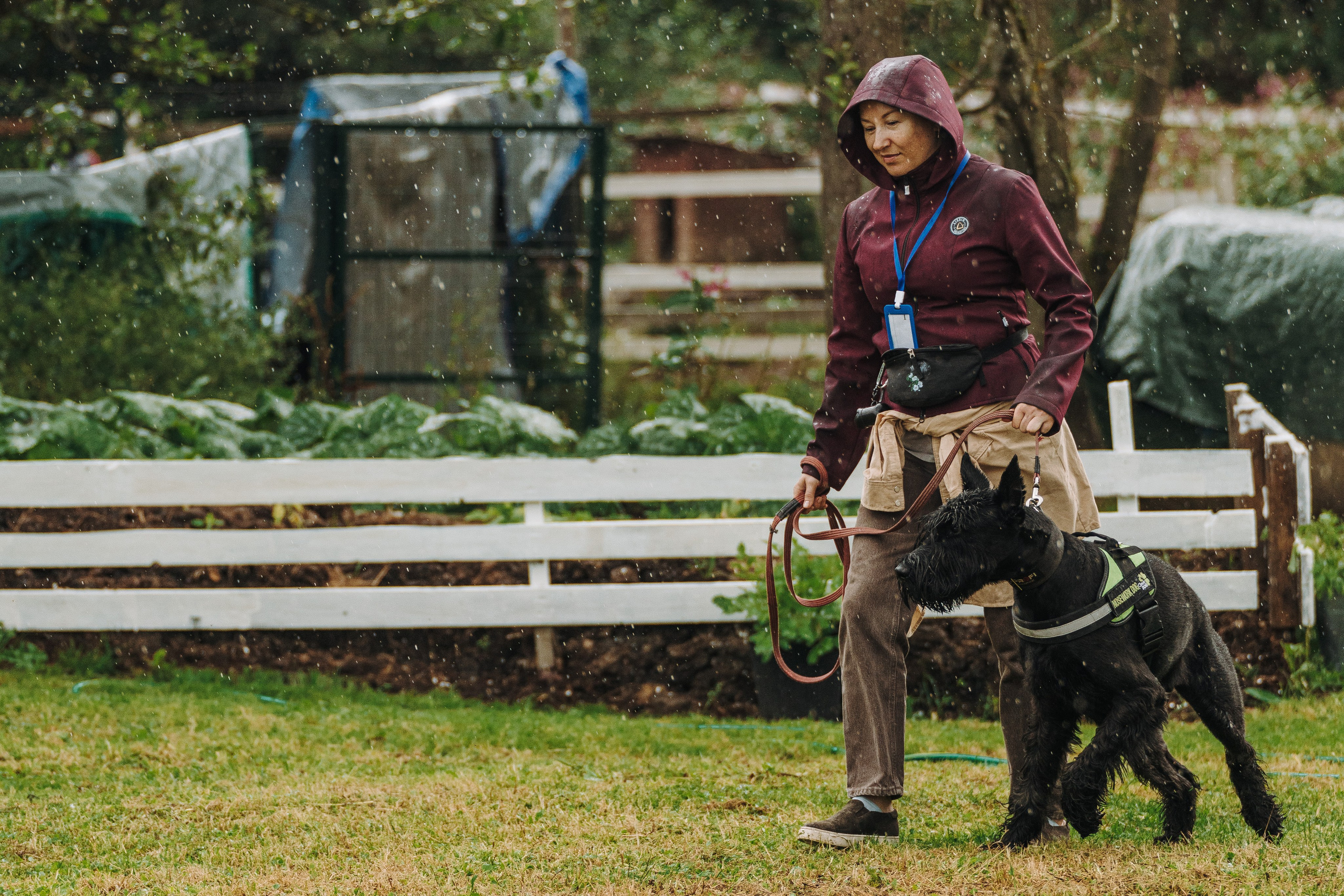 Соревнования по ноузворку в Новожилово. Фотограф анималист в Спб недорого Олеся Майорова
