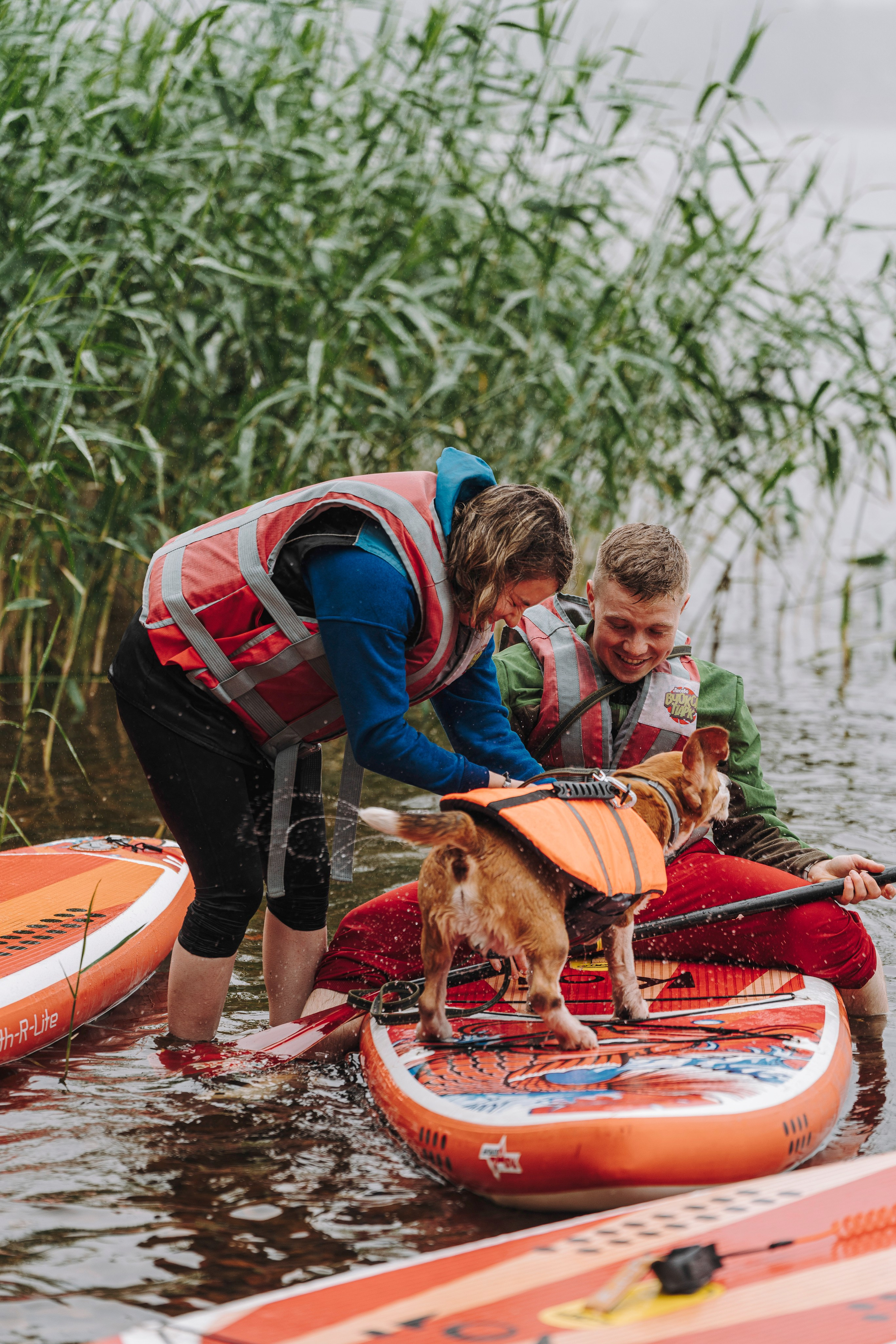 Катание на сапах с собаками. Фотограф анималист в Спб недорого Олеся Майорова