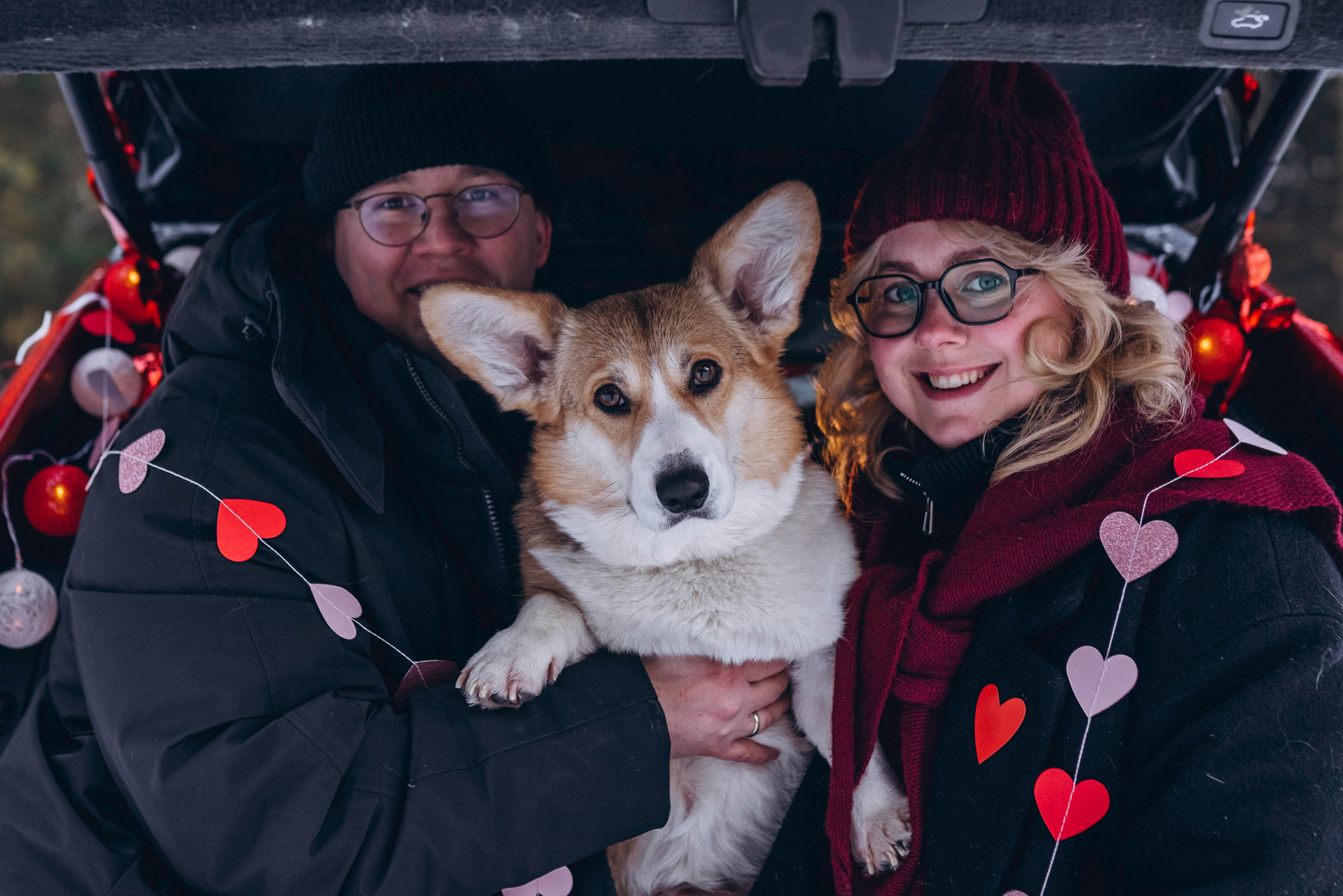 Фотодень Святого Валентина. Фотограф анималист в Спб недорого Олеся Майорова