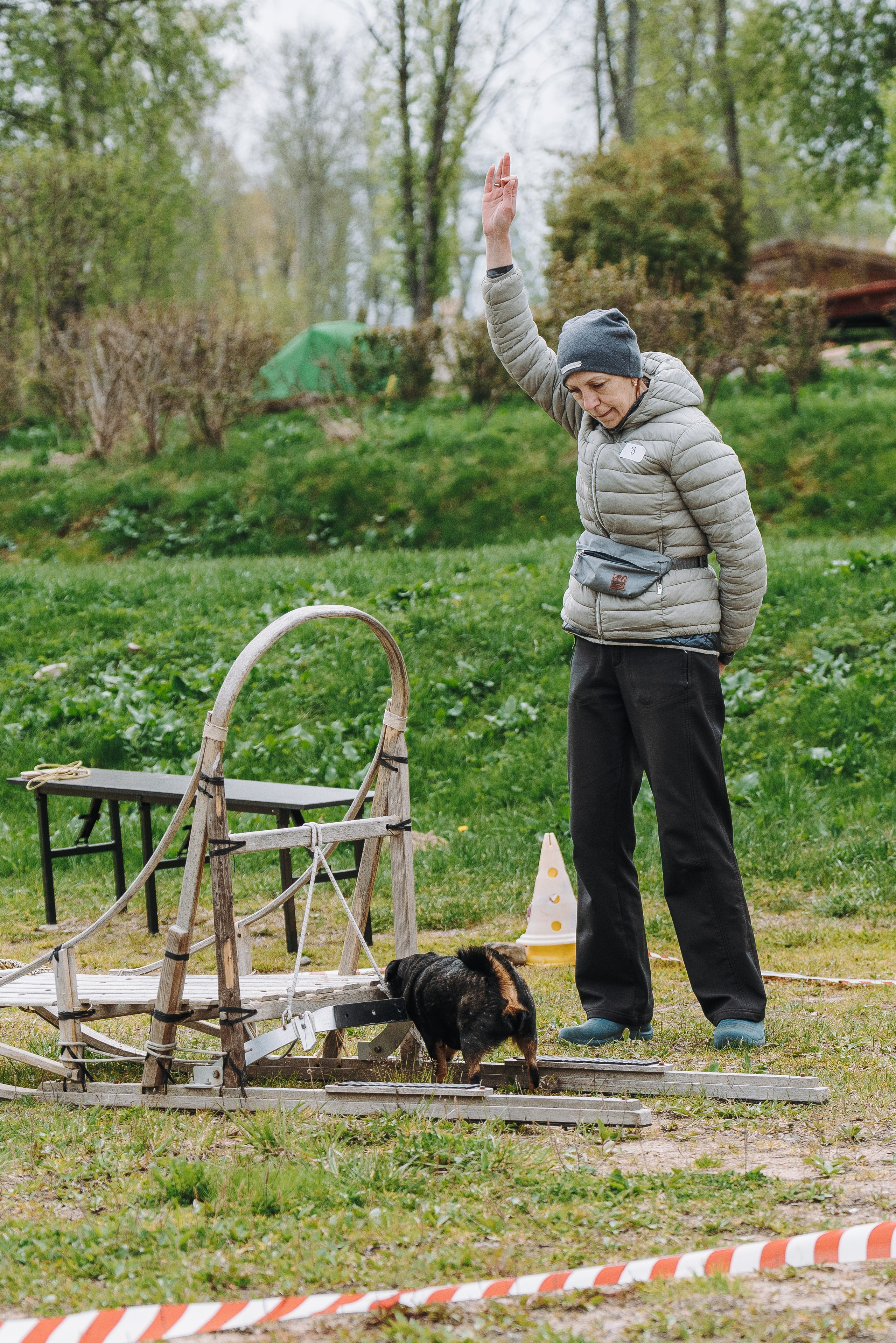 Соревнования по ноузворку в Лосево. Фотограф анималист в Спб недорого Олеся Майорова