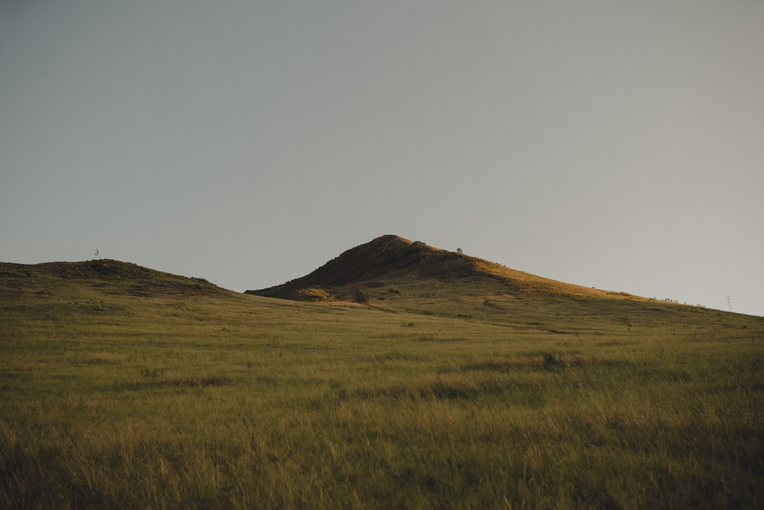 Настя и Умка. Фотограф анималист в Спб недорого Олеся Майорова