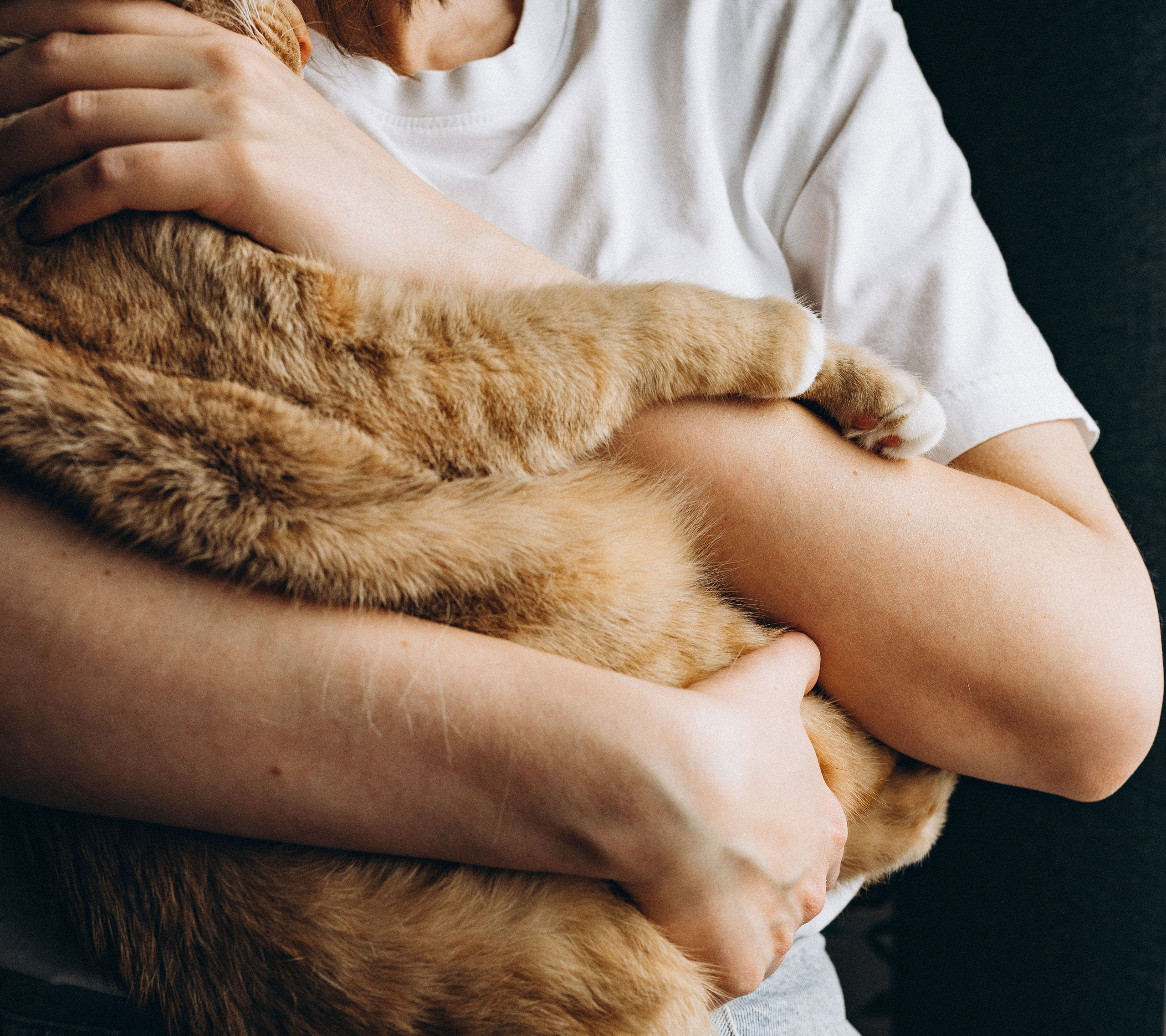 Даша и Брукс. Фотограф анималист в Спб недорого Олеся Майорова