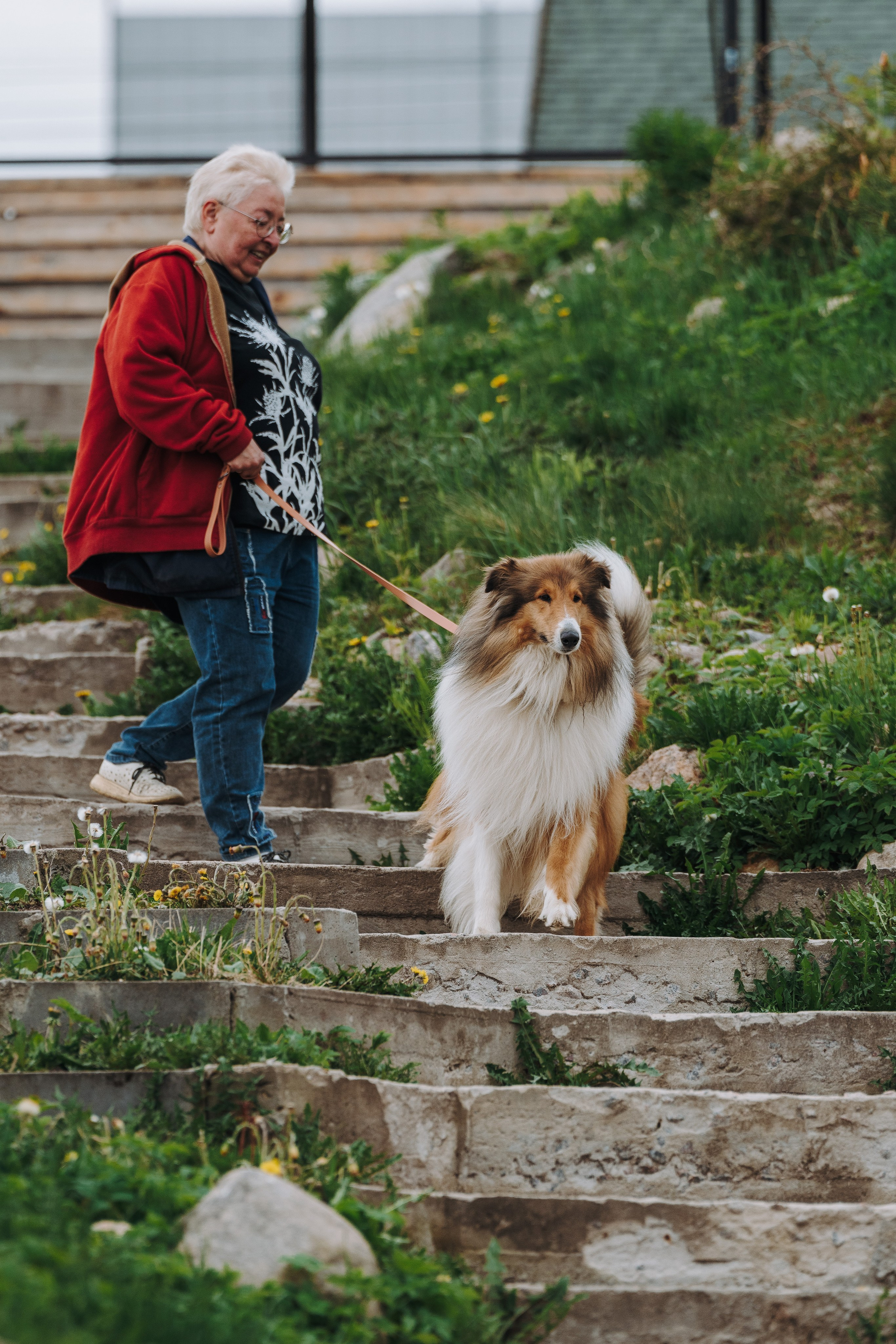 Соревнования по ноузворку в Лосево. Фотограф анималист в Спб недорого Олеся Майорова