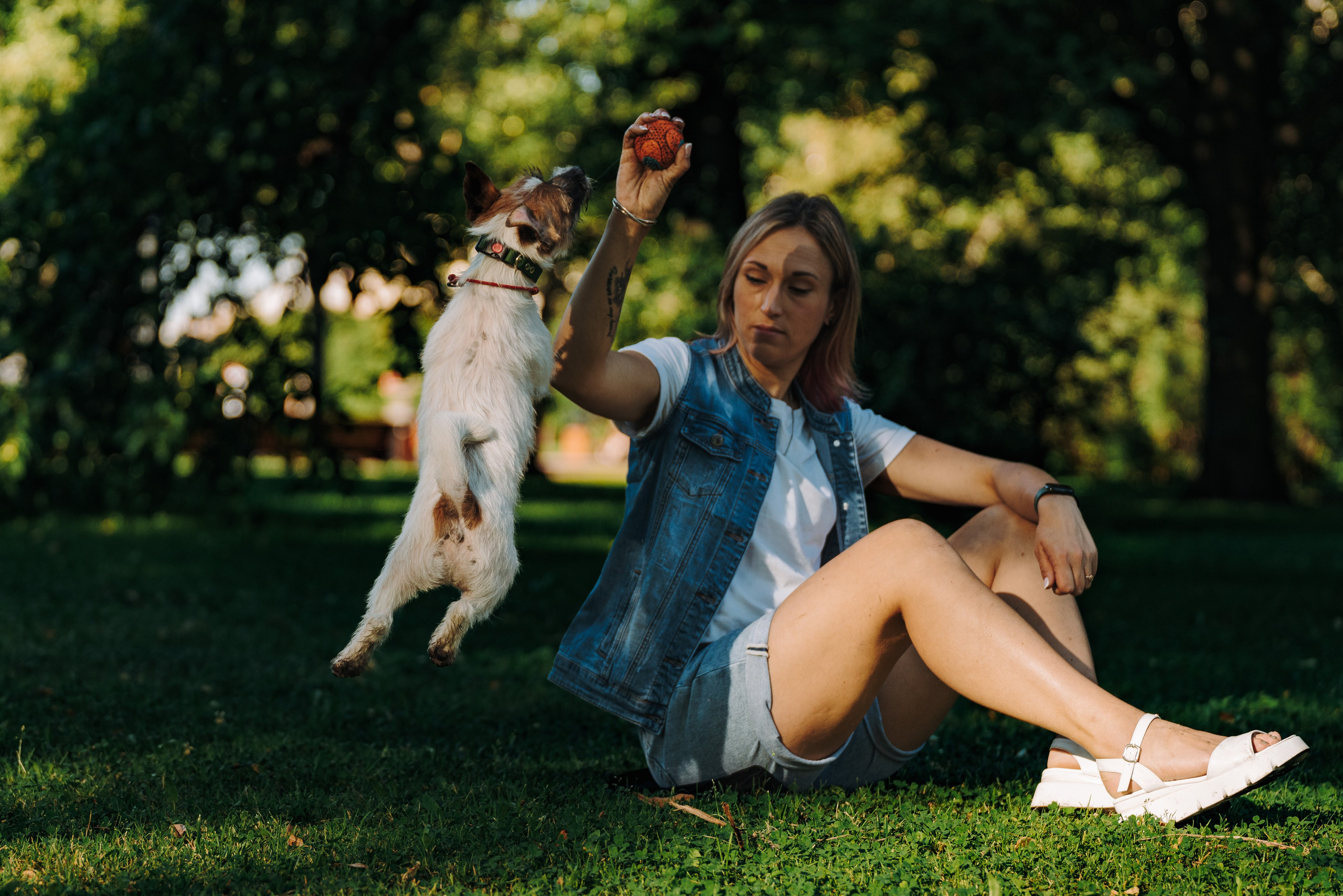 Ларс, Лукас и Ольга. Фотограф анималист в Спб недорого Олеся Майорова