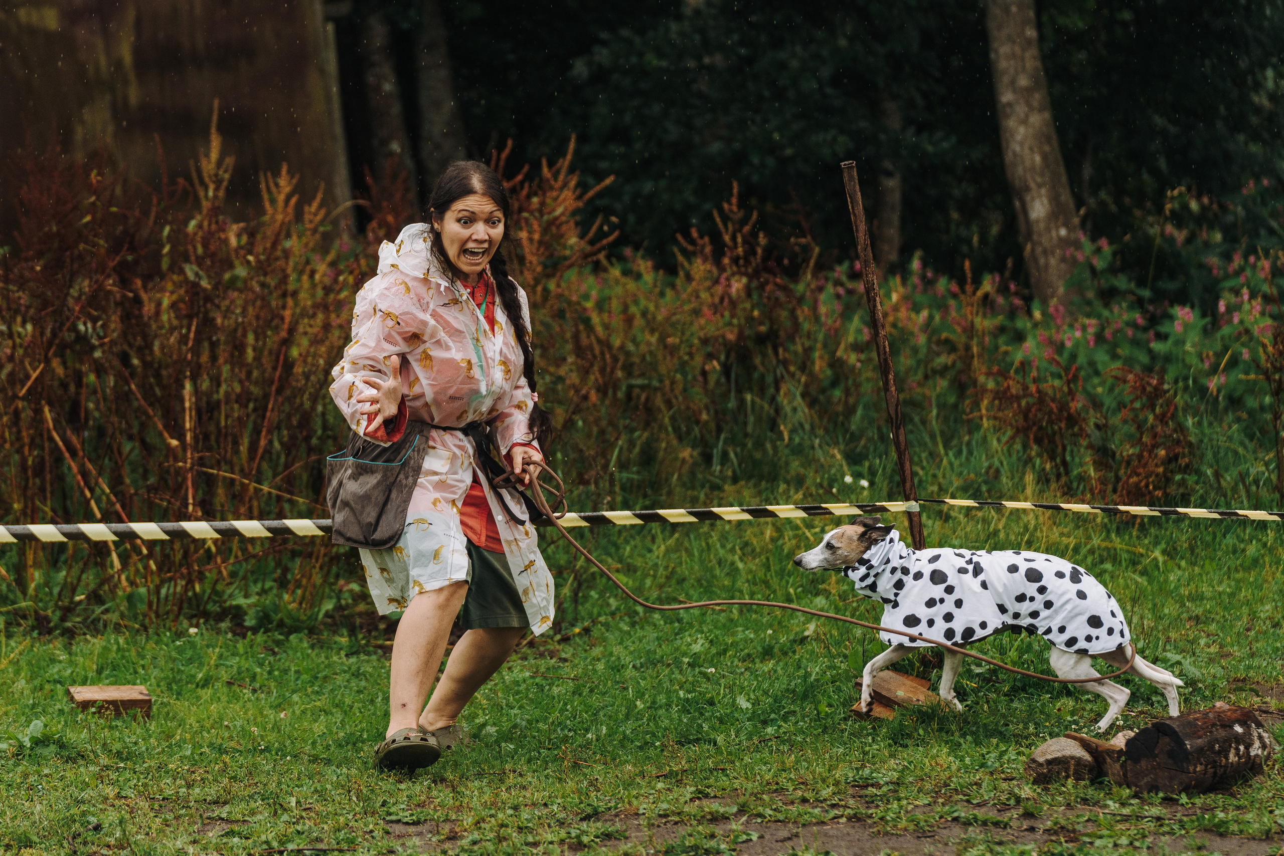 Соревнования по ноузворку в Новожилово. Фотограф анималист в Спб недорого Олеся Майорова