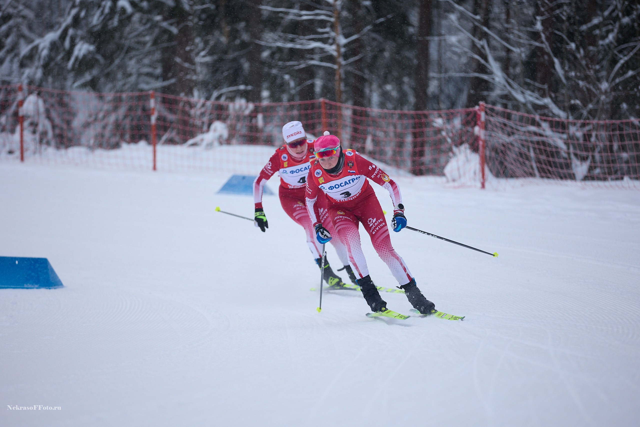 Кубок России по Лыжным гонкам. Спортивный фотограф Некрасов Денис