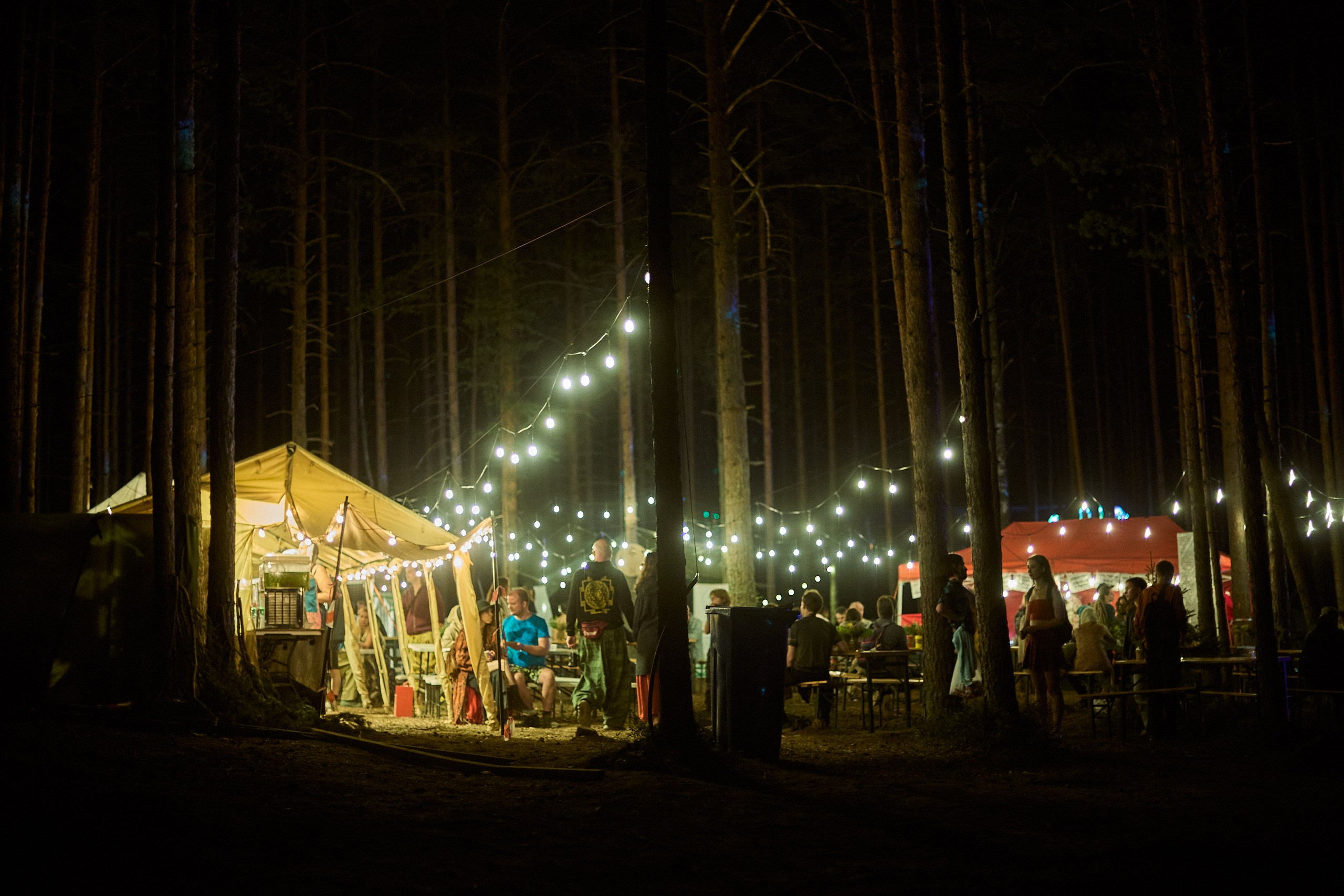 ETHNOSCOPE FEST. Фотограф в Санкт-Петербурге Лазарев Евгений