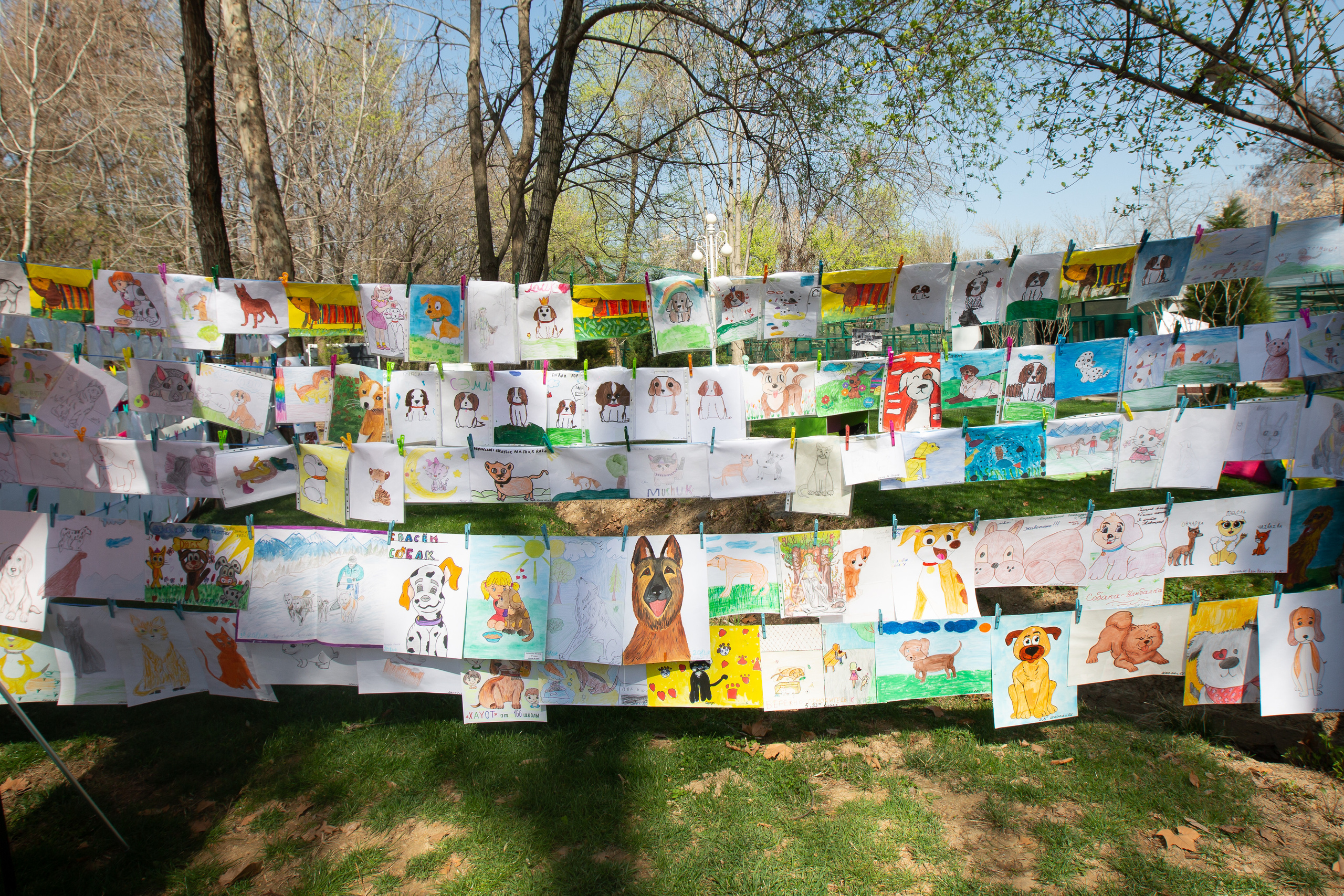 Репортажная съемка. Евгений Матвеев — фотограф в Санкт-Петербурге