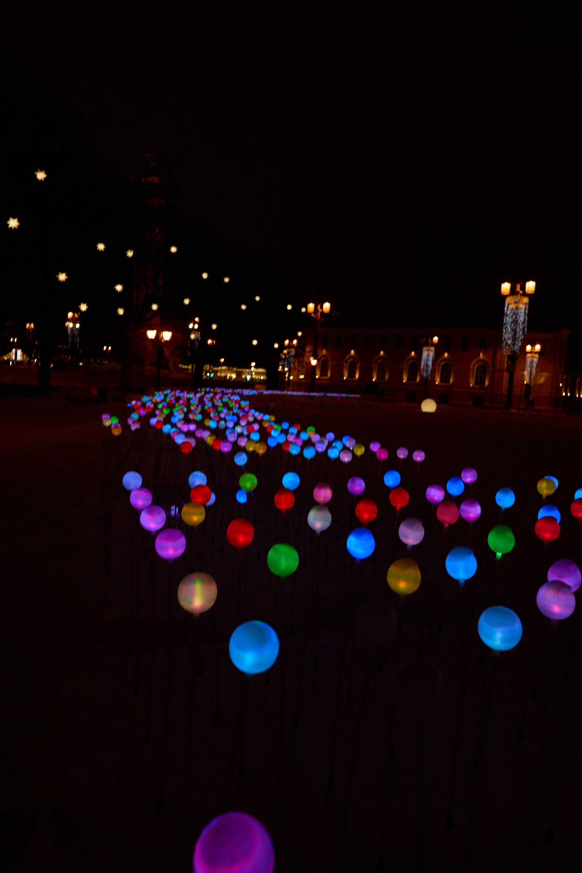 Рождество въ Санктъ-Петербургѣ. Фотографъ Сергѣевъ. Поймать мгновеніе
