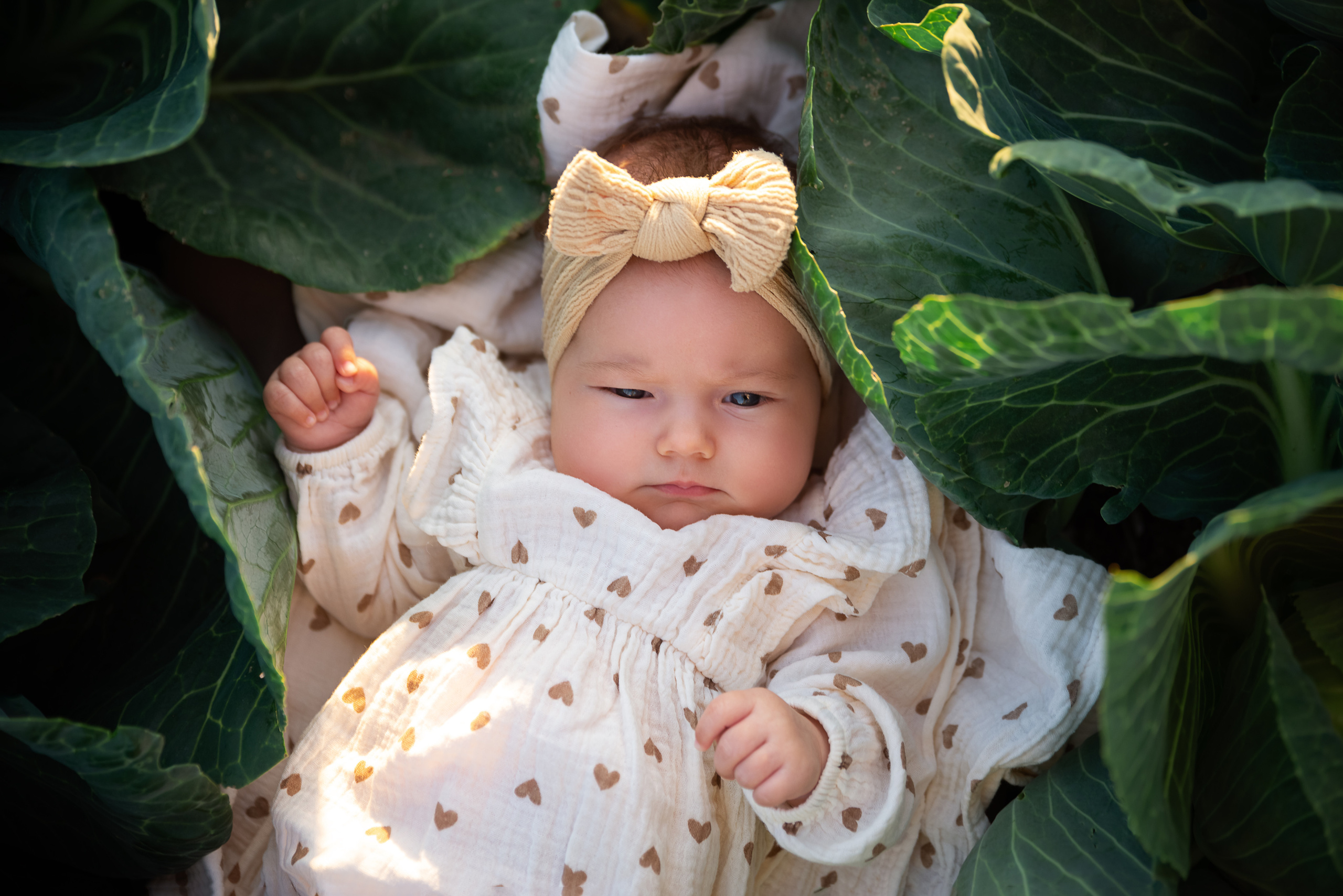 Фотосессия в поле на закате. Фотограф новорожденных Екатеринбург, Первоуральск