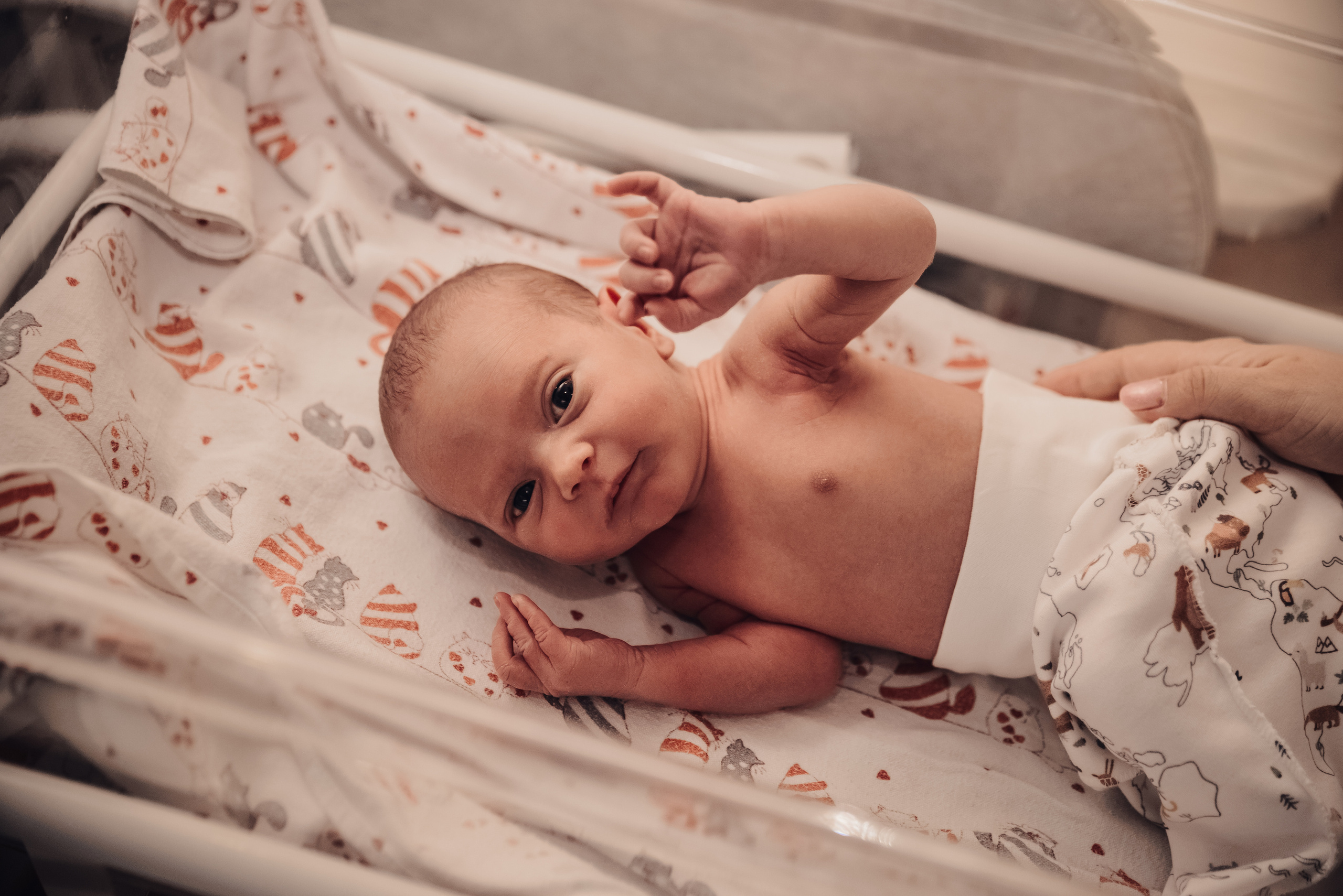 Выписка Михаила. Фотограф новорожденных Екатеринбург, Первоуральск