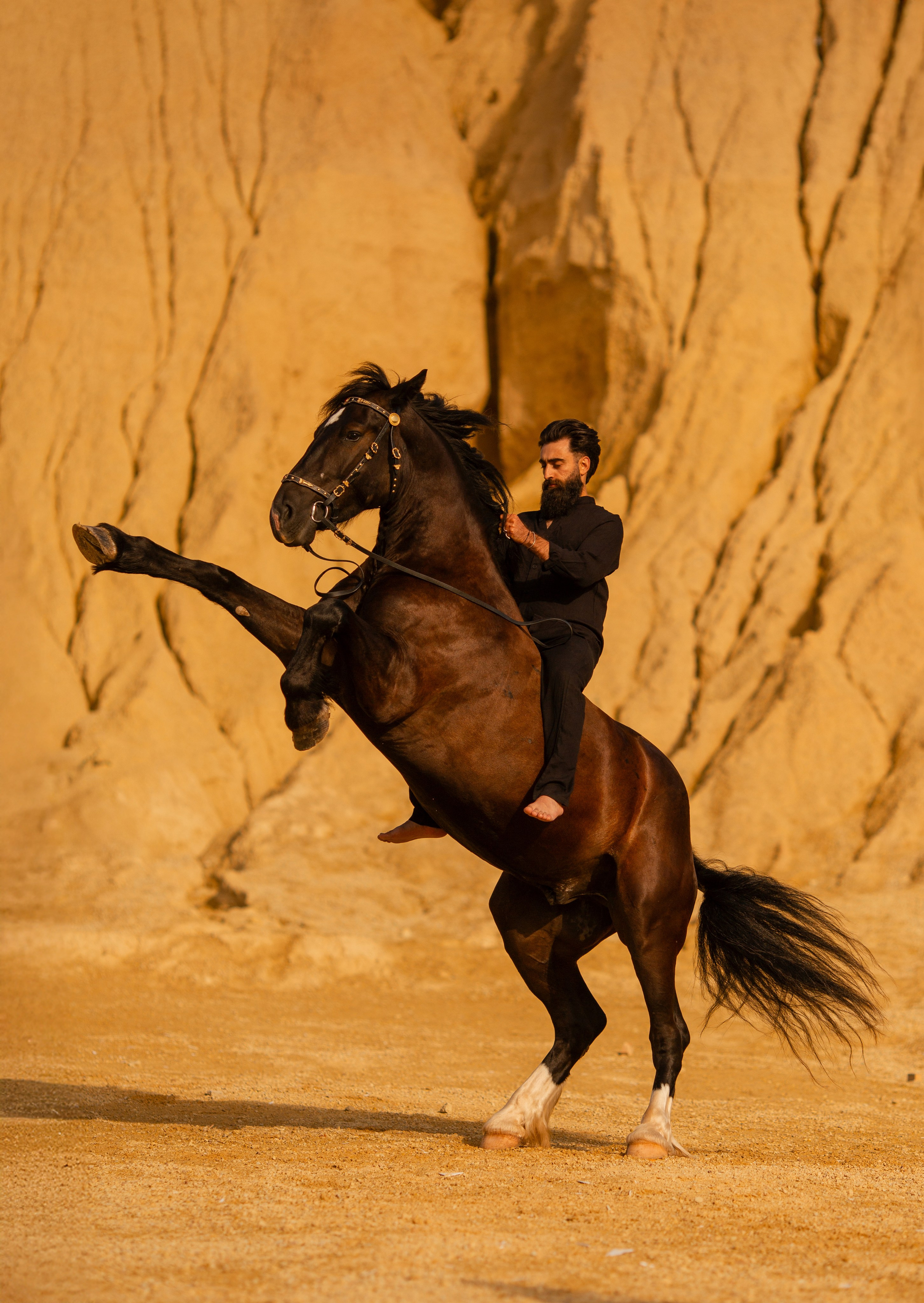 Мужская фотосессия с лошадью