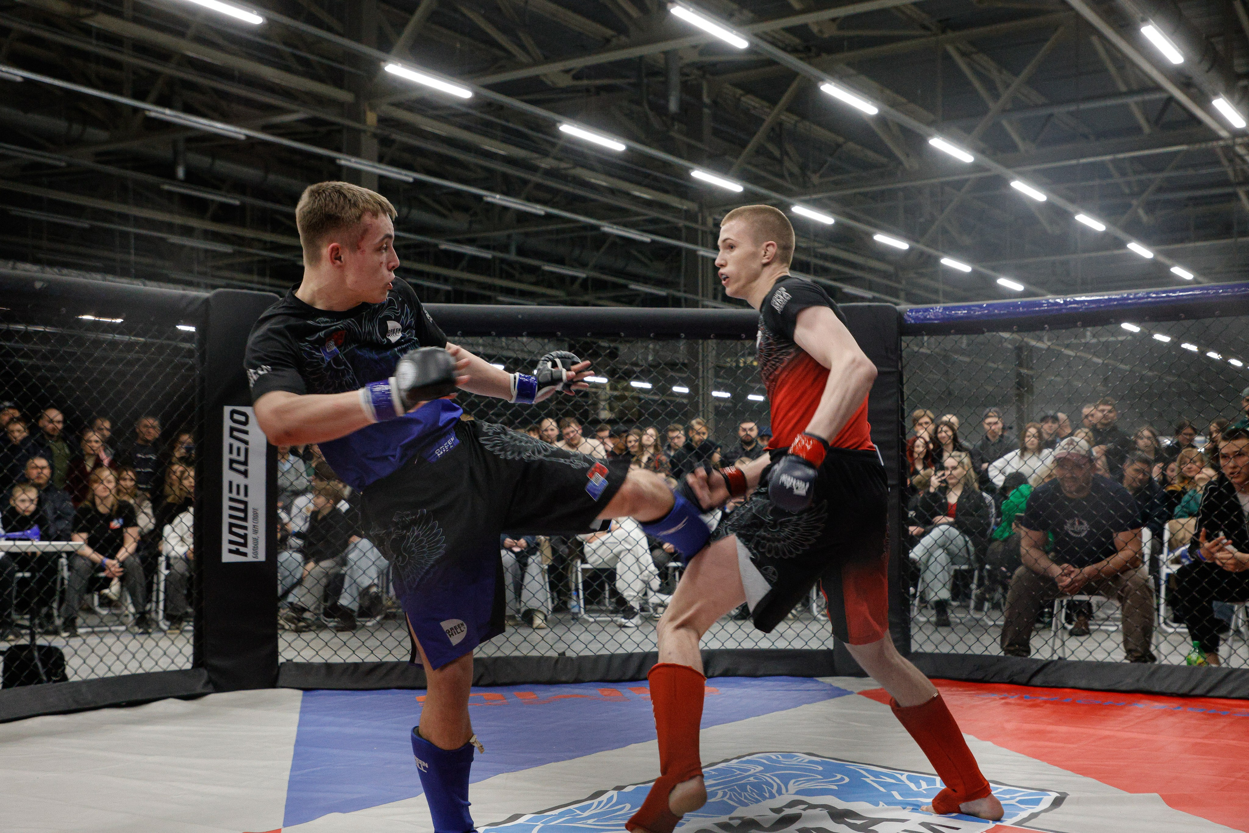 ММА Автолегион 2026. Фотограф в Новосибирске Александр Иванов