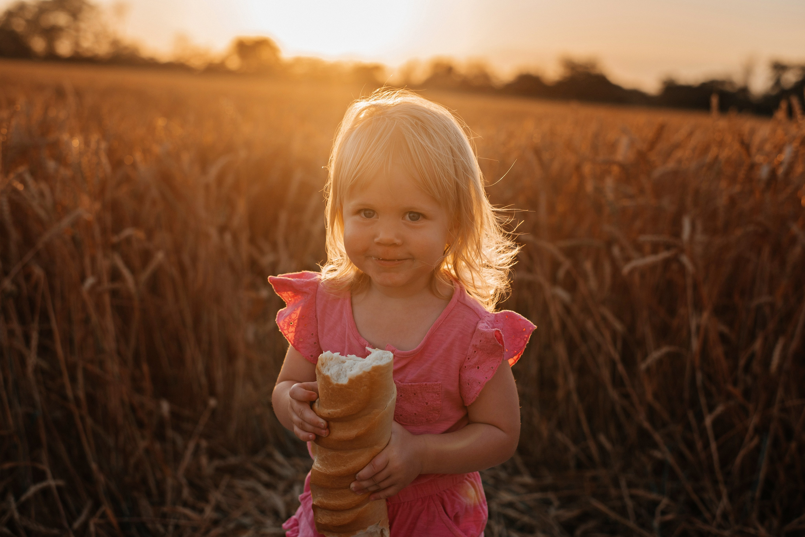 В пшенице всей семьей. Детский и семейный фотограф выпускной альбом Приморско-Ахтарск