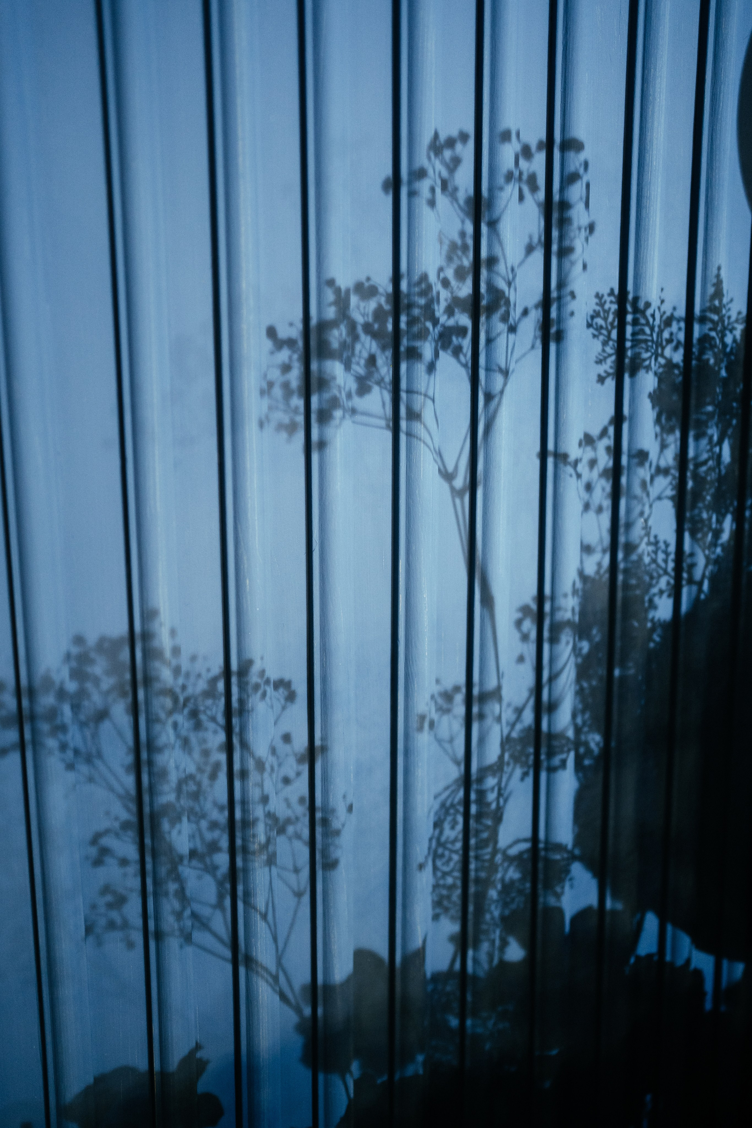 Репортажная съемка 1 год. Карпенко Марина свадебный и семейный фотограф Анапа, Краснодар, Геленджик, Сочи, Темрюк