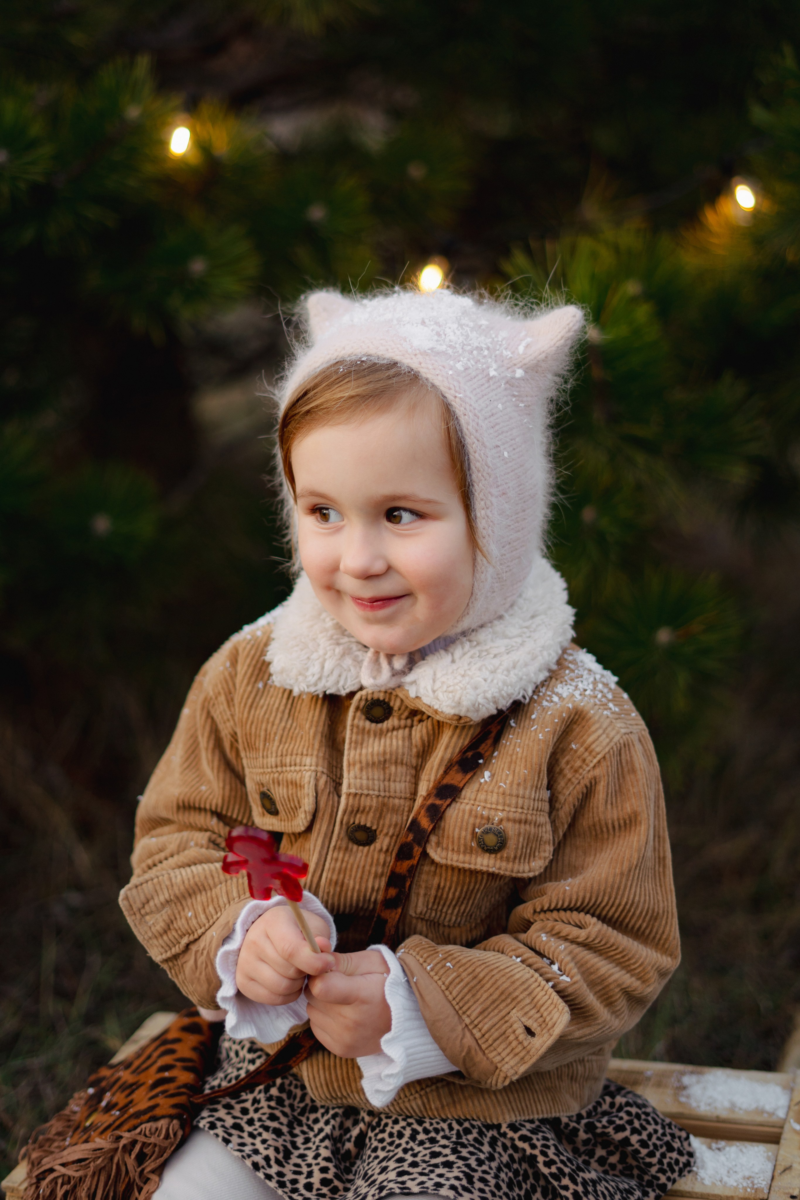 Новогодние. Елена Луковская. Семейная, портретная, репоражная съёмка