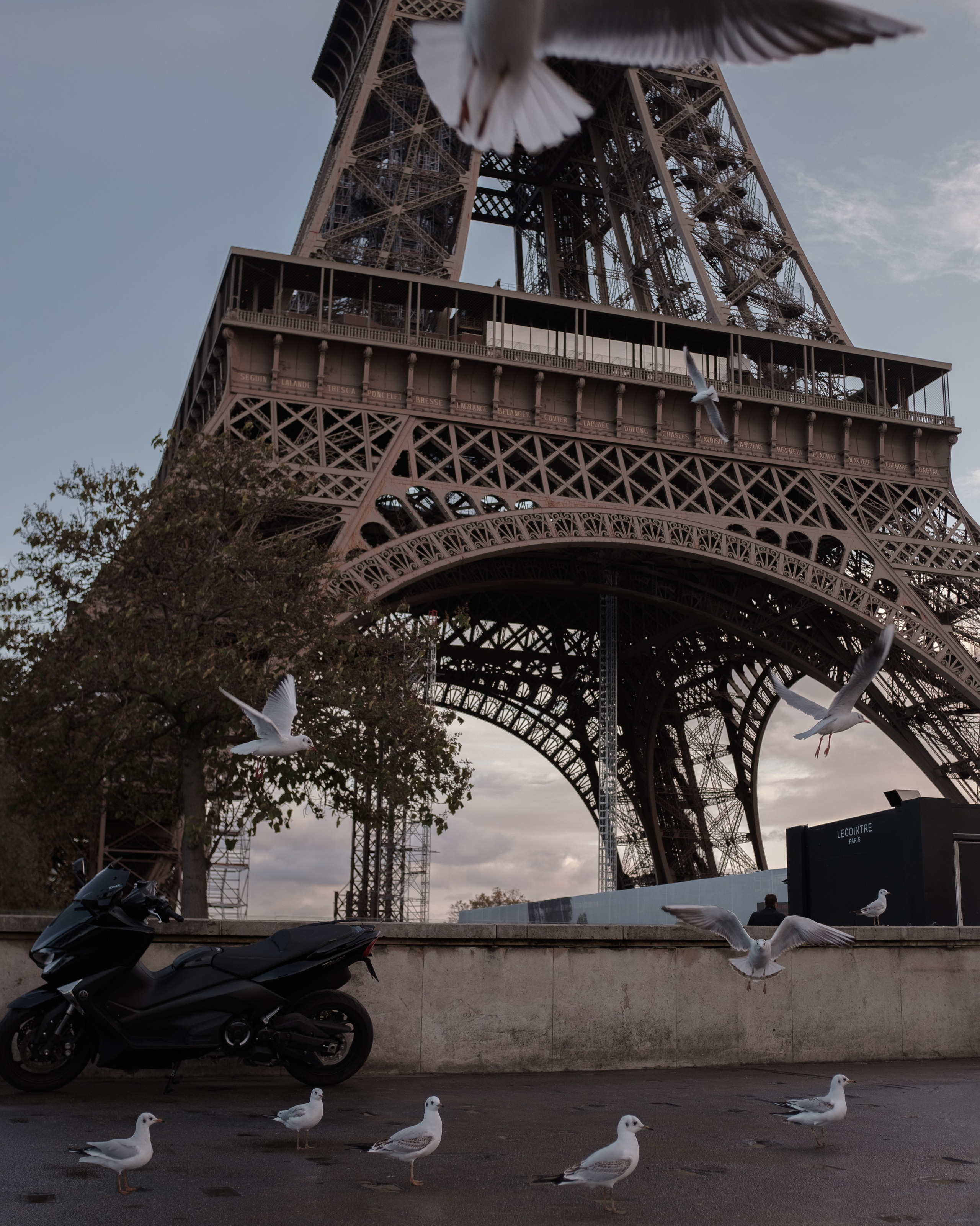 Франция. Фотограф Екатерина Катунова | Москва