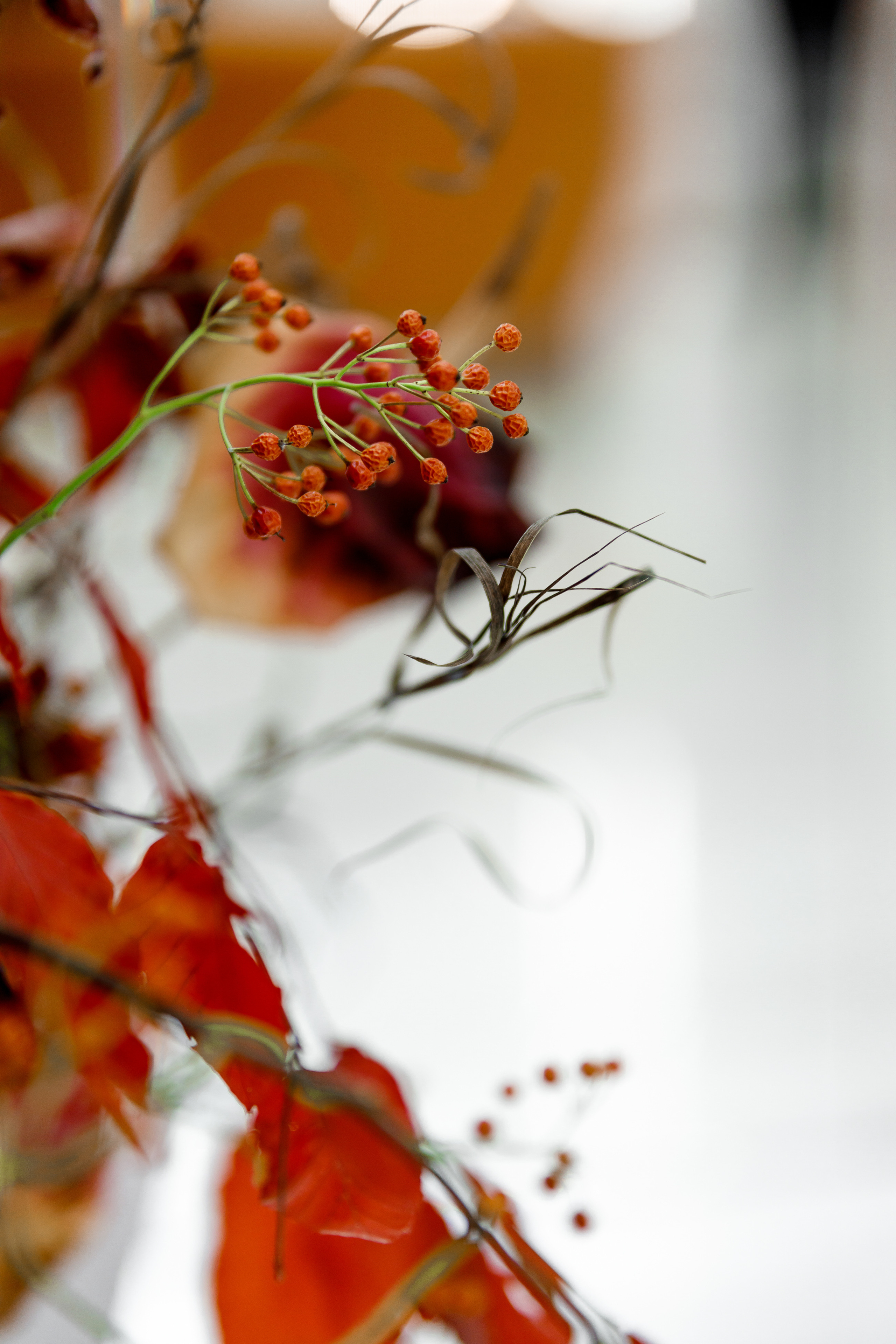 Открытие ювелирного дома E-iri-n-e. Репортажный фотограф Семён Борисов | Москва