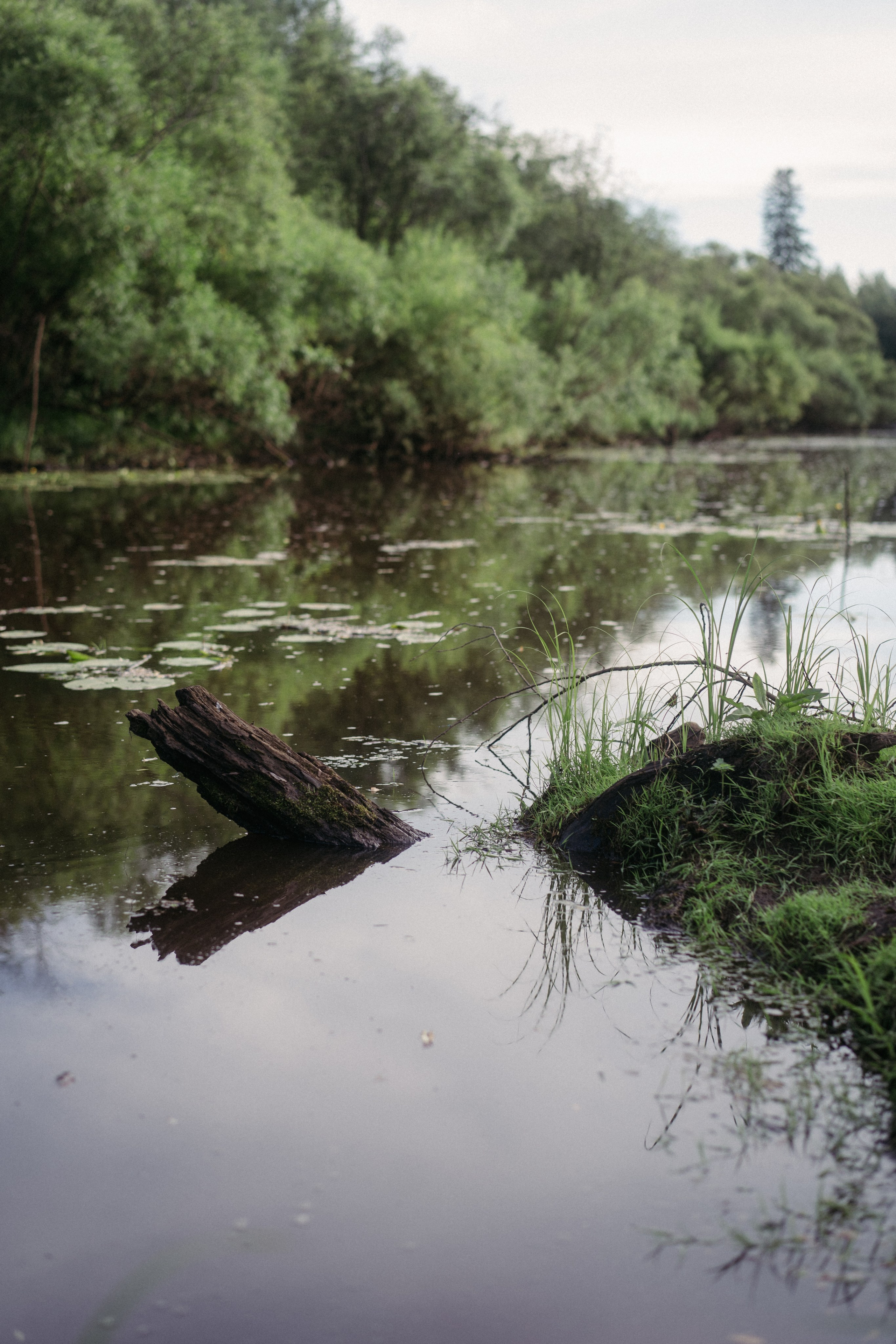 Деревня Петрово (Томская область). Veronika Popadeikina Photographer