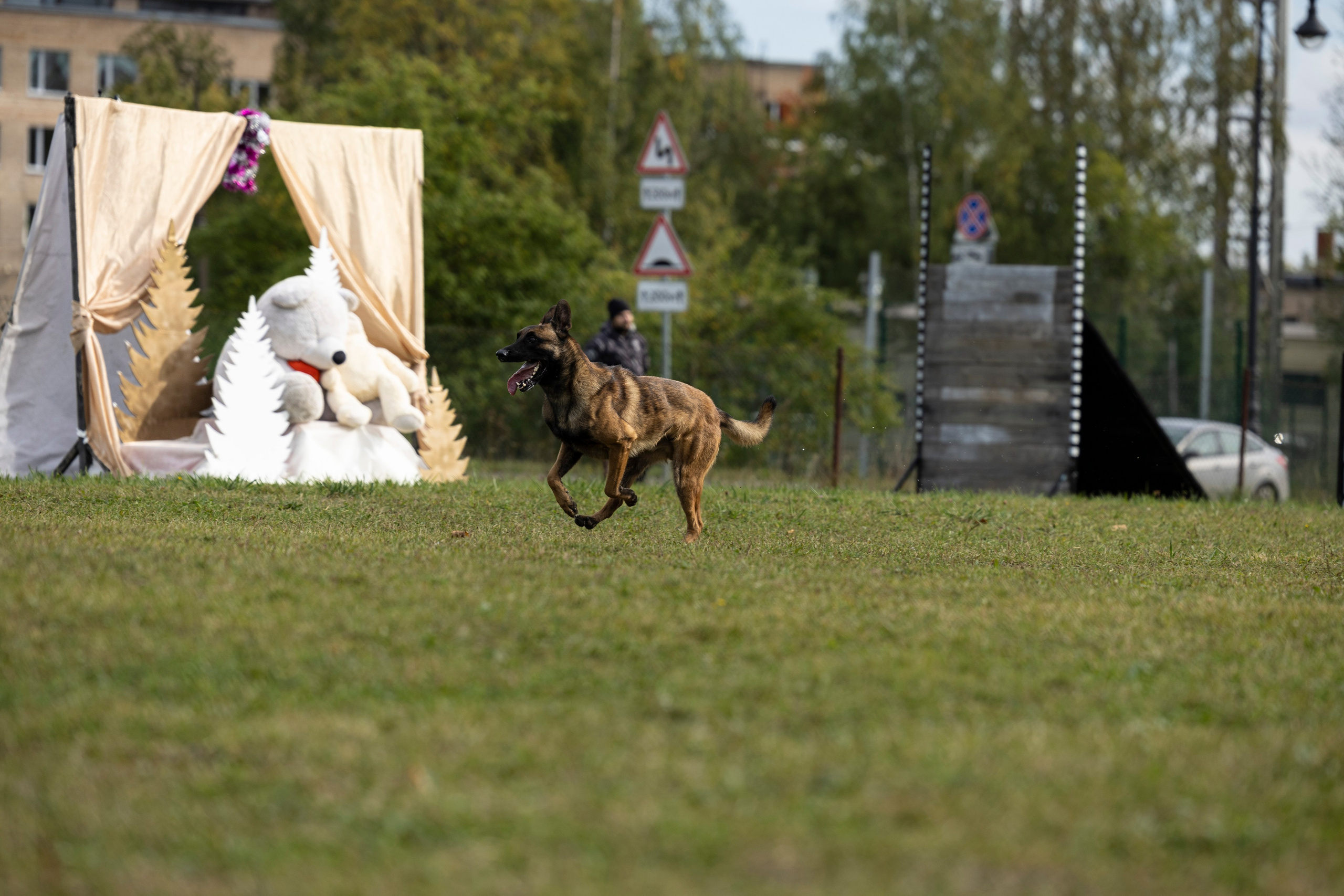 Испытания по Мондьорингу г. Пушкин. Фотограф-анималист Анна Маринич