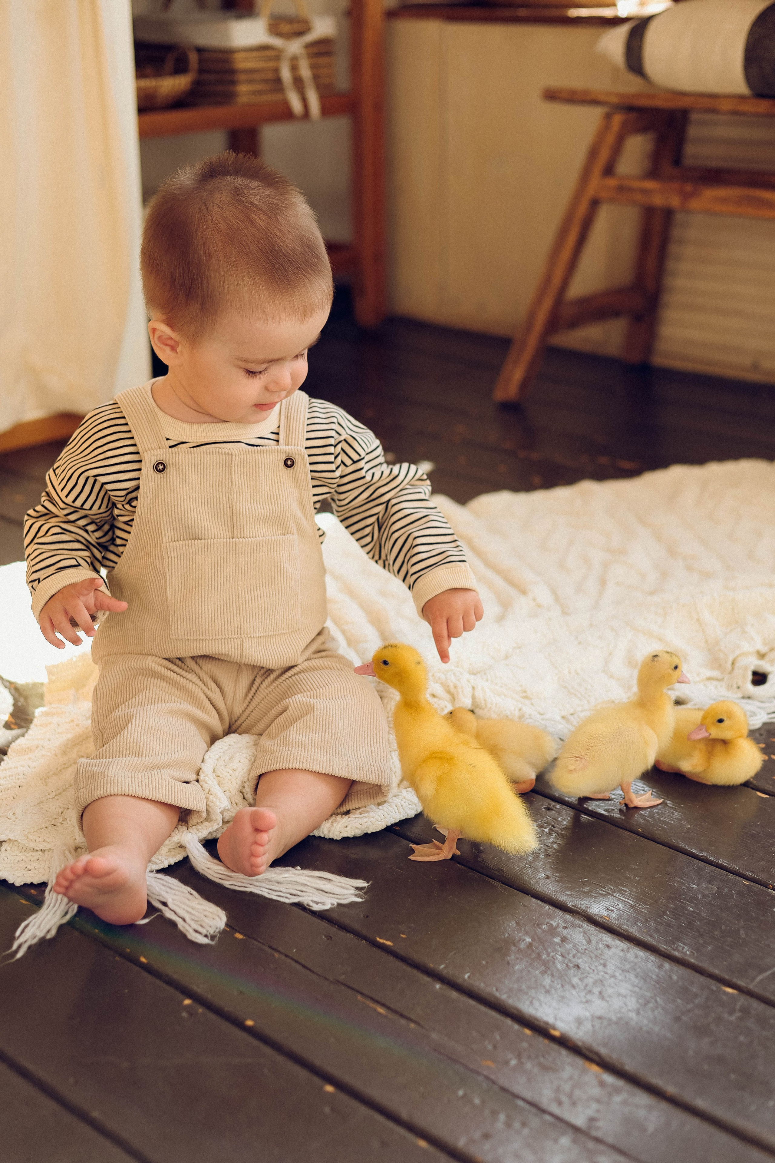 Миша и утята. Фотограф Анна Бурлакова