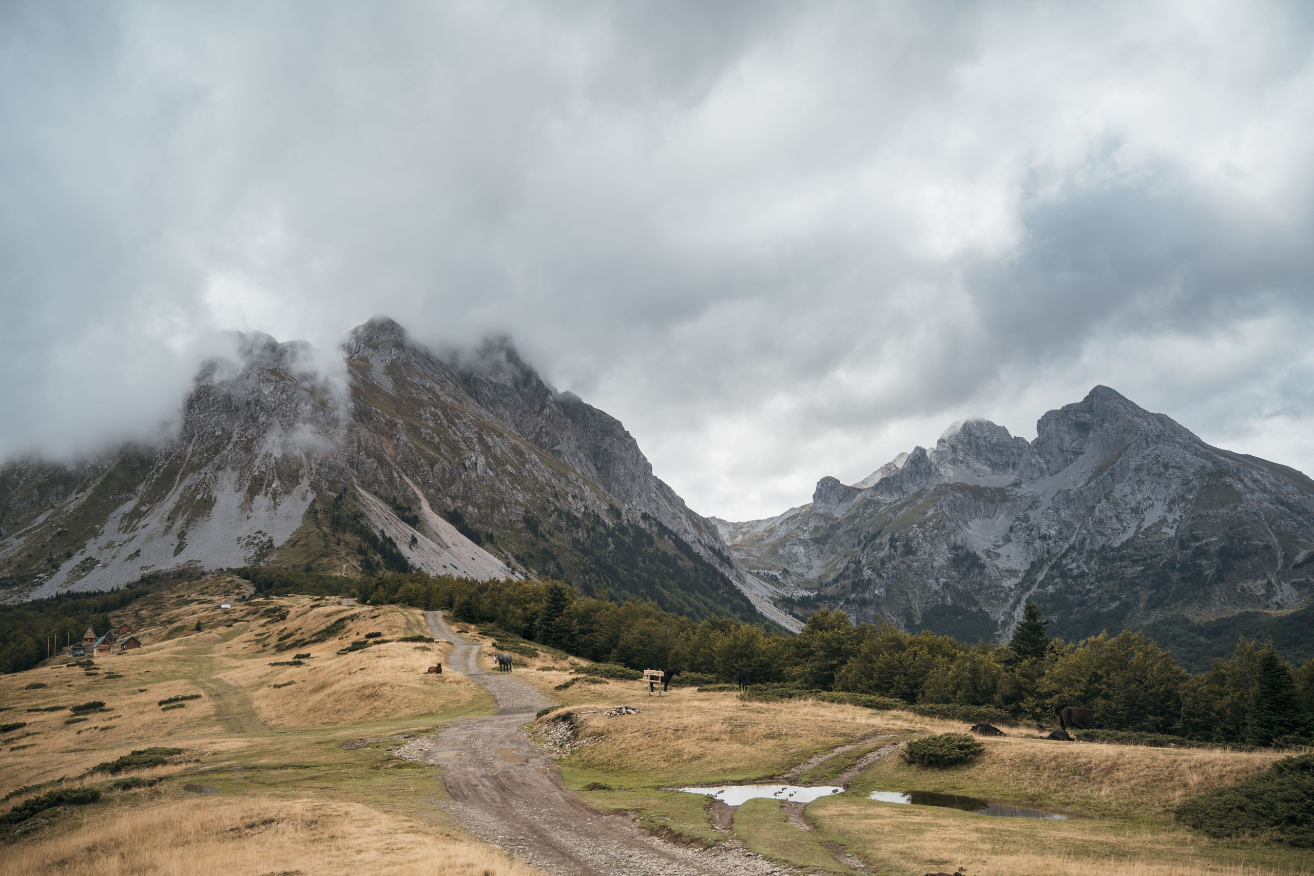 ГОРЫ КОМОВИ. ЧЕРНОГОРИЯ. Фотограф в Белграде Чугреева Елена