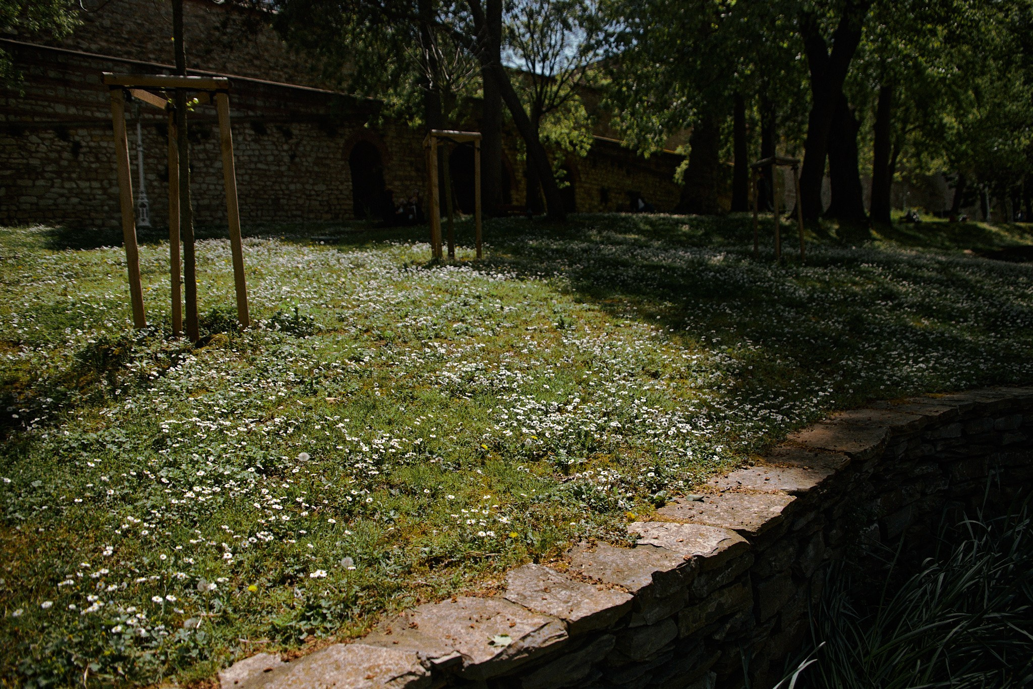 Улица горизонтальная. Jorgis — фотограф в Хургаде / обучение фотографии