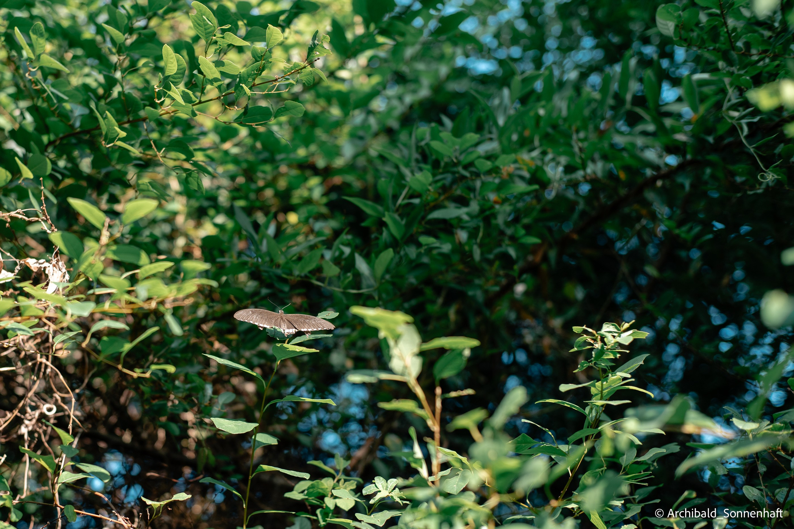 Kayaking in Huizhou, China. Photographer in Guangzhou, China. Archibald Sonnenhaft