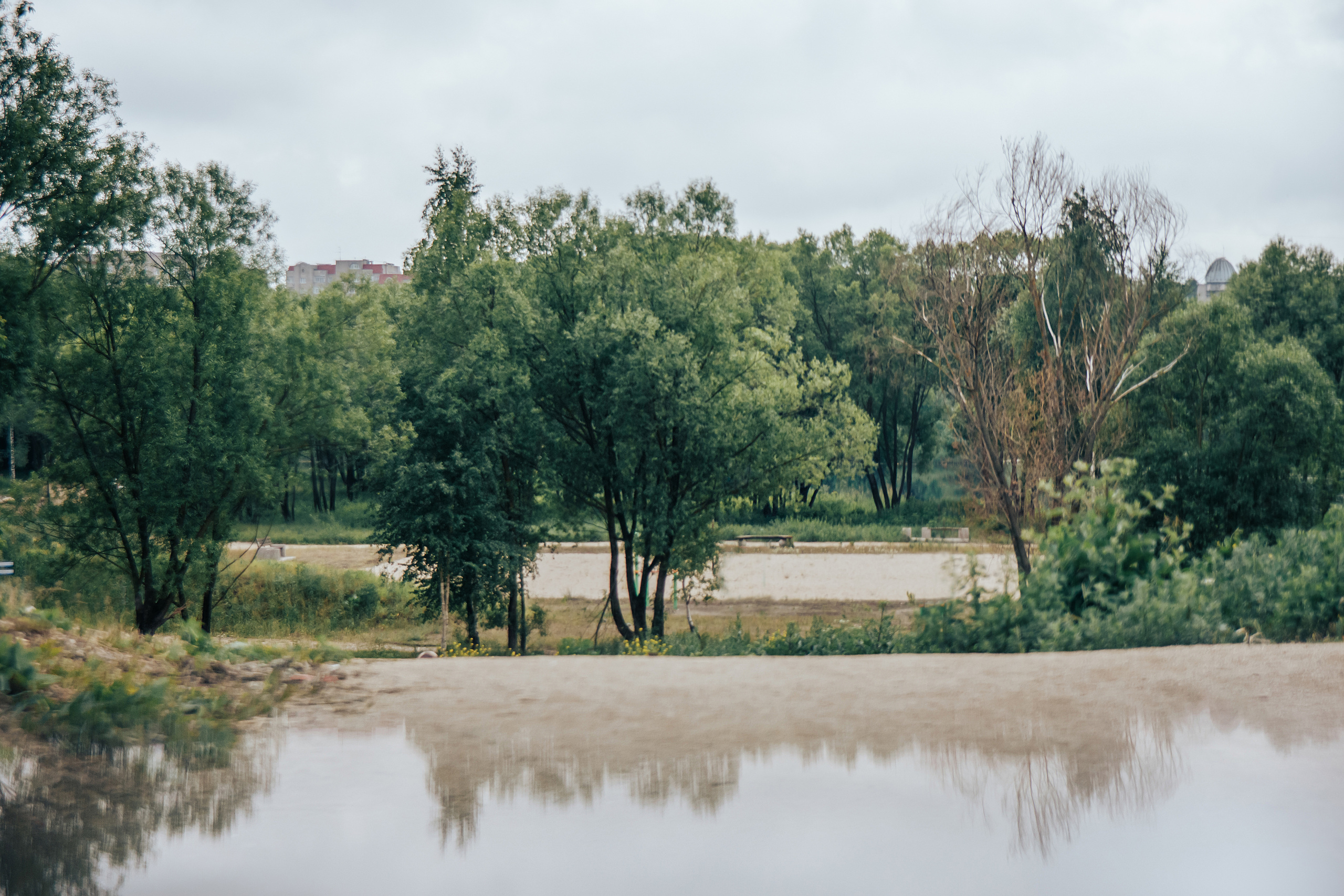 Милана и Дмитрий. Светлана Иванова - профессиональный фотограф
