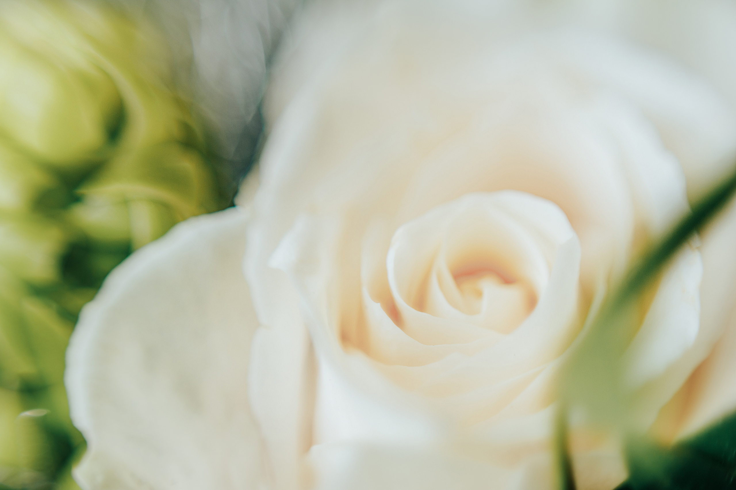 Милана и Дмитрий. Светлана Иванова - профессиональный фотограф