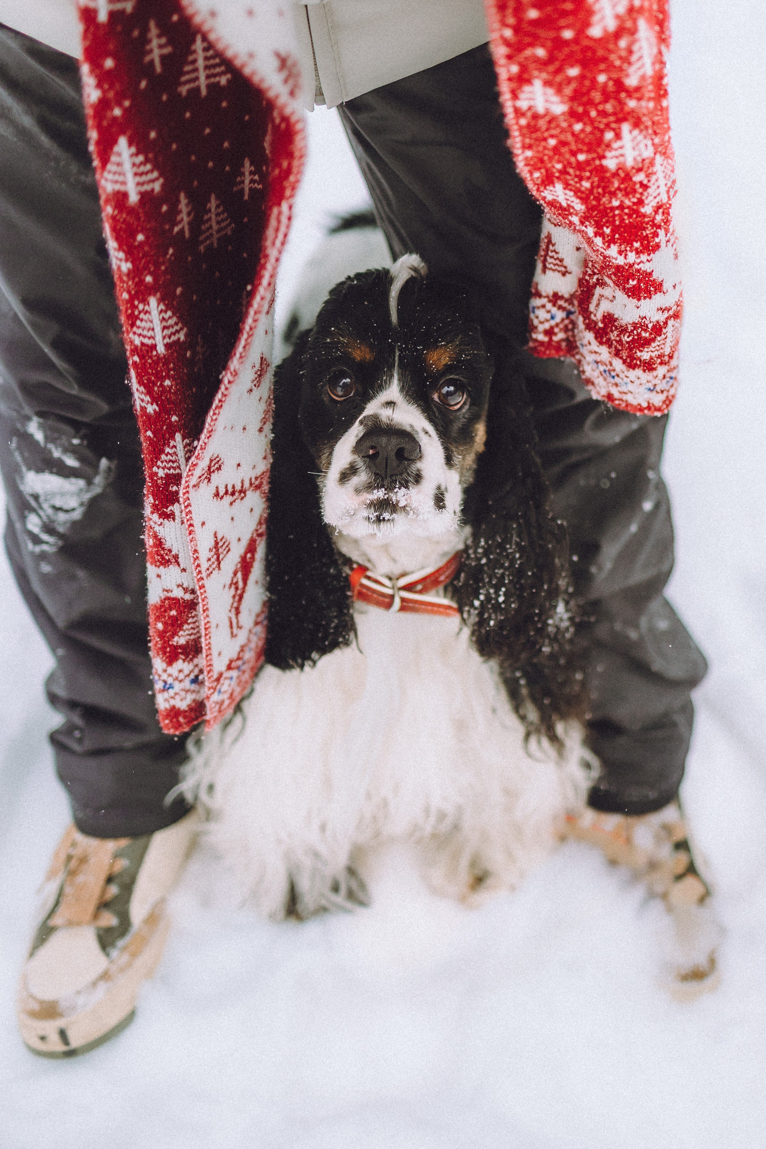 Ольга и Патрик