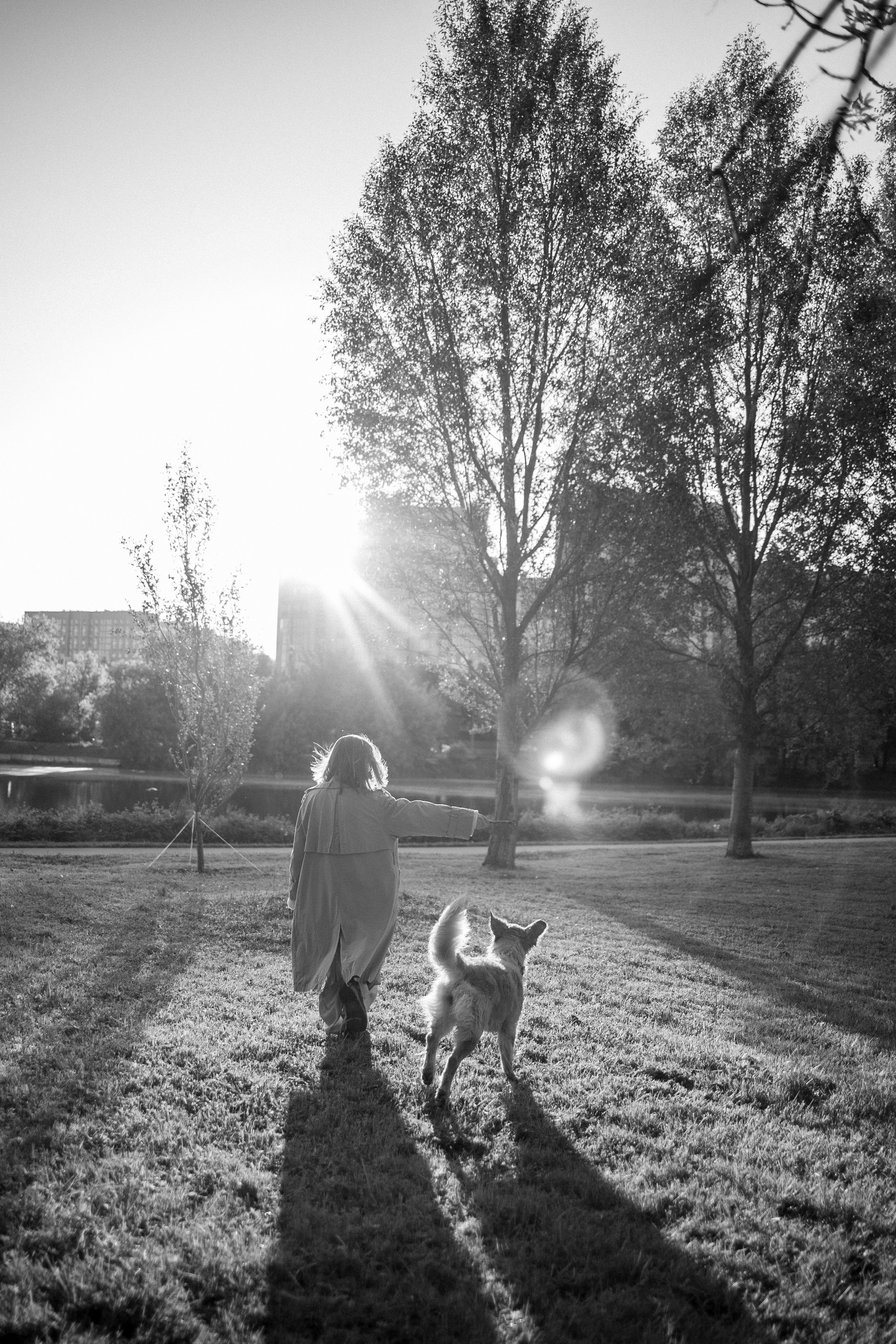 Пенни и ребята. Фотограф — Анималист | Санкт-Петербург