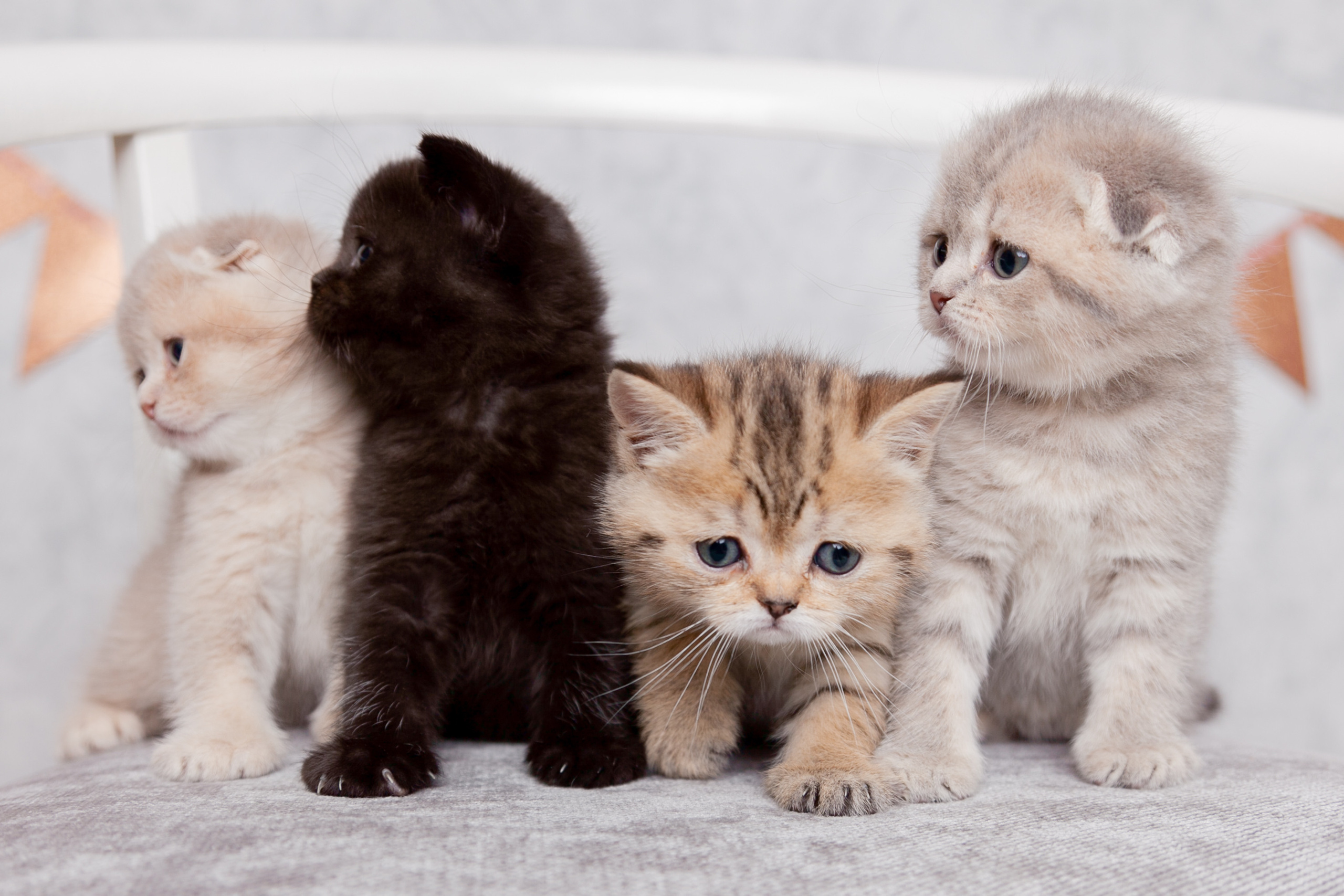 Семейные истории. Фотограф Татьяна Воронова, Детские и Семейные фото