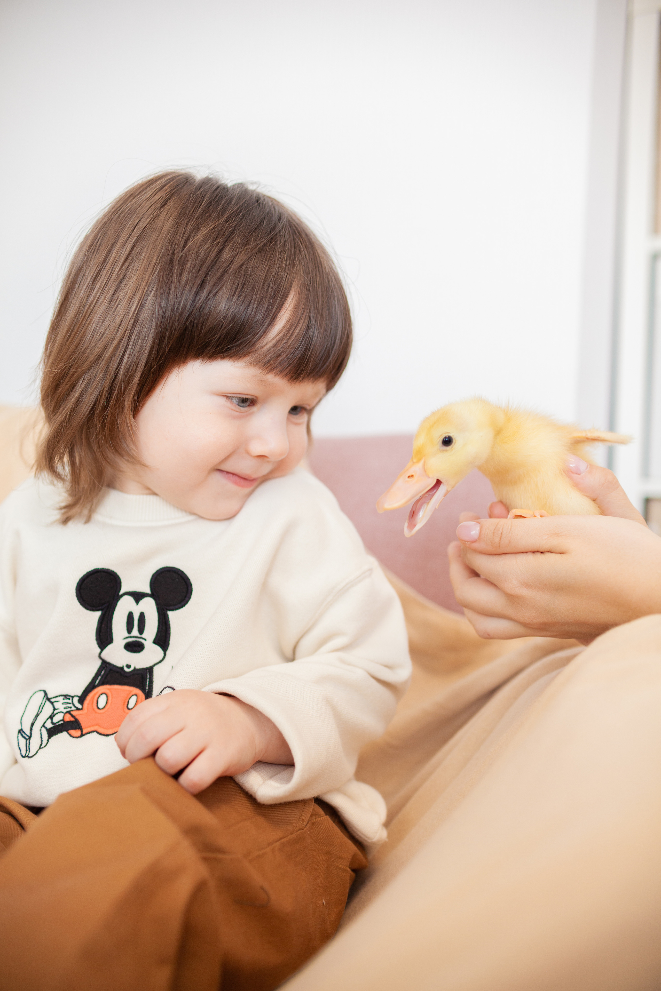 Утята и цыплята. Фотограф Татьяна Воронова, Детские и Семейные фото