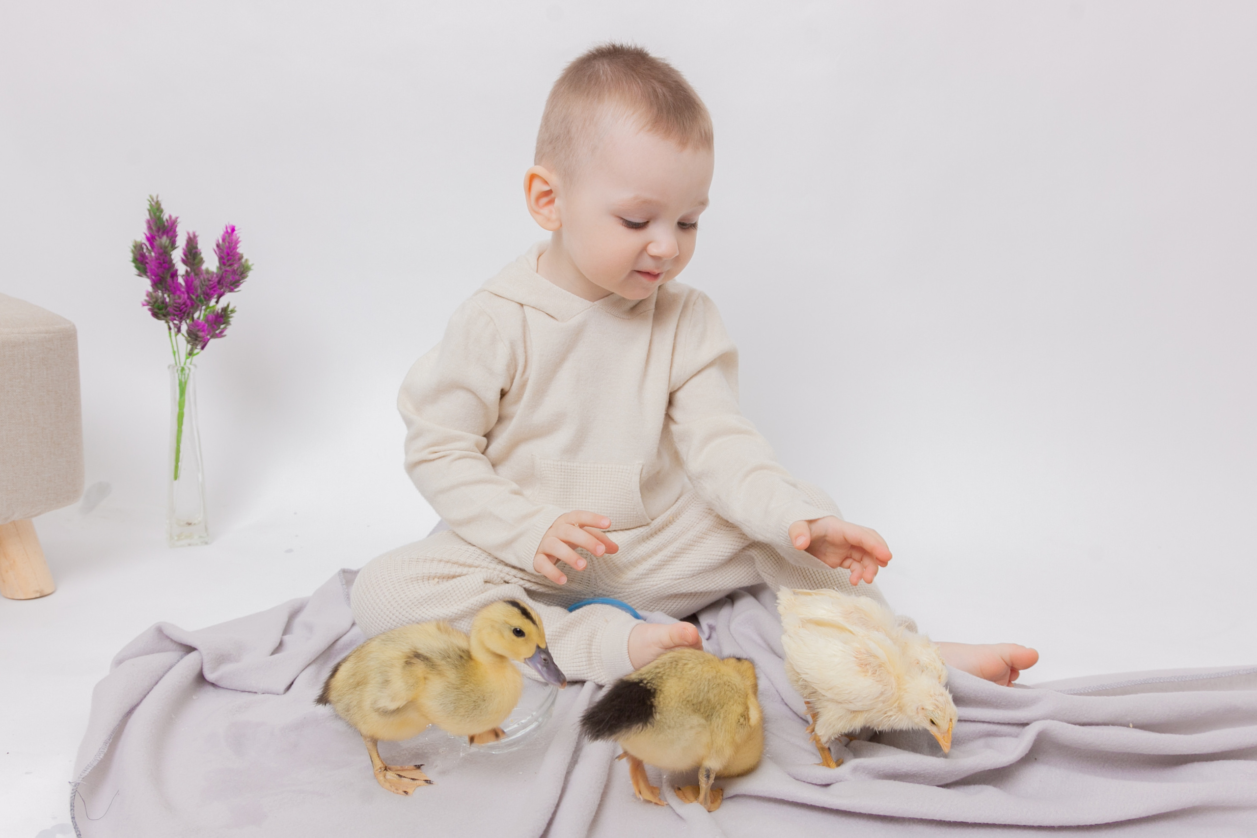 Утята и цыплята. Фотограф Татьяна Воронова, Детские и Семейные фото