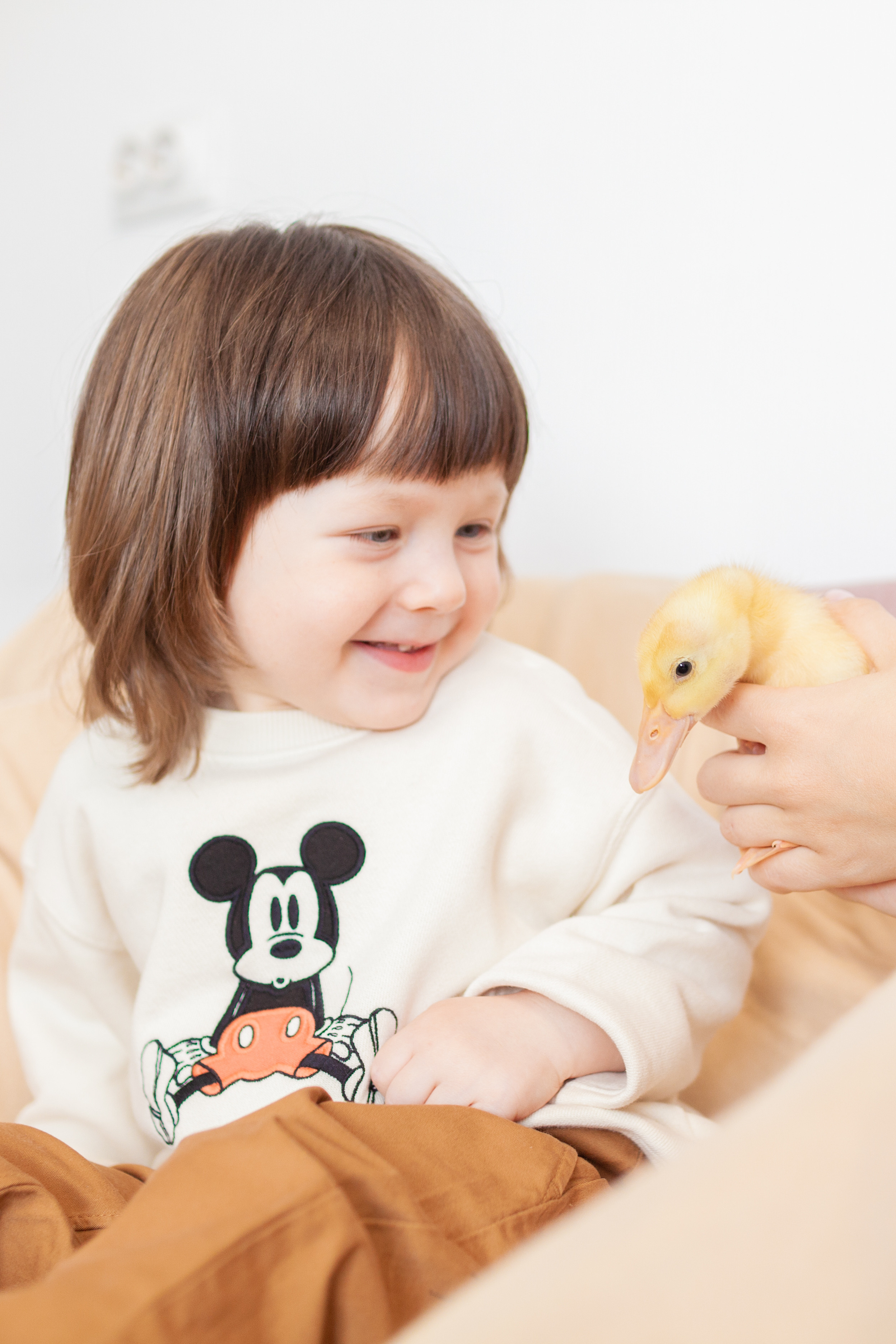 Утята и цыплята. Фотограф Татьяна Воронова, Детские и Семейные фото