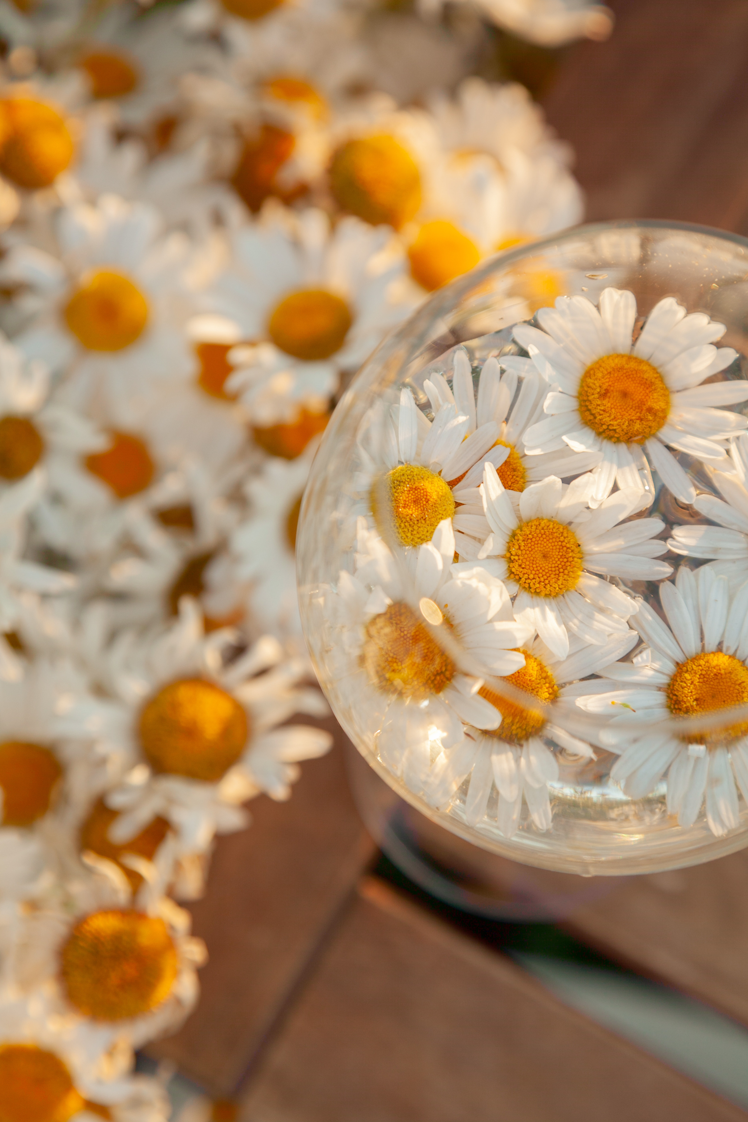 Семейные истории. Фотограф Татьяна Воронова, Детские и Семейные фото