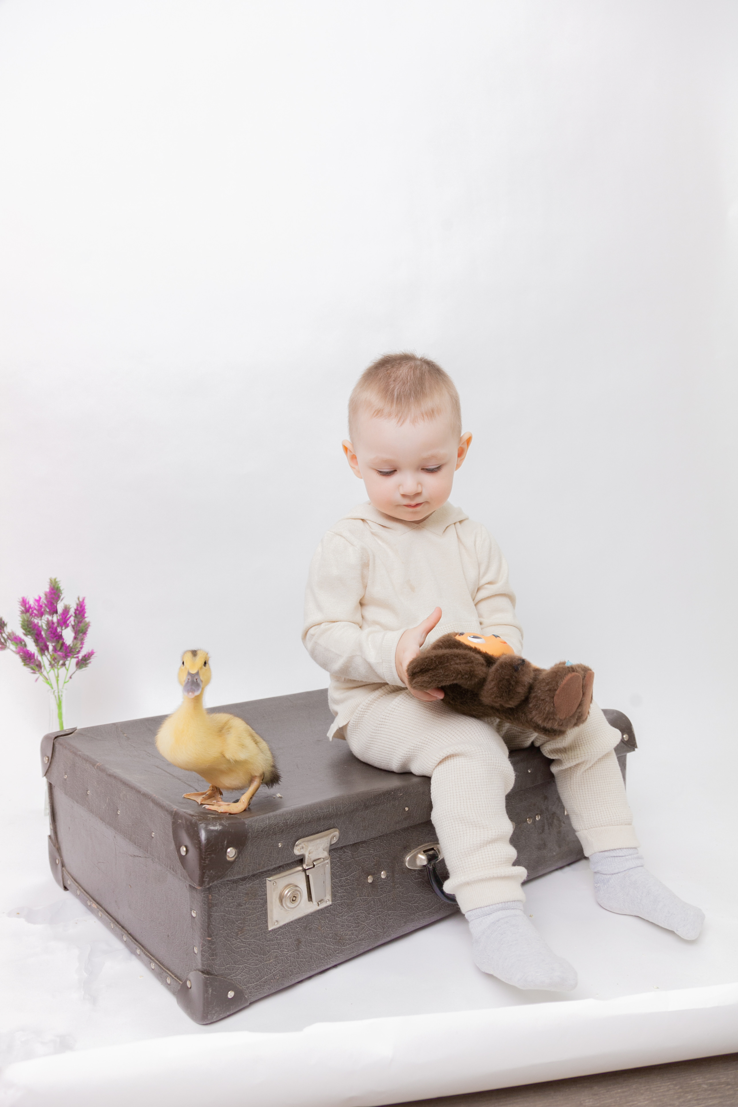 Утята и цыплята. Фотограф Татьяна Воронова, Детские и Семейные фото