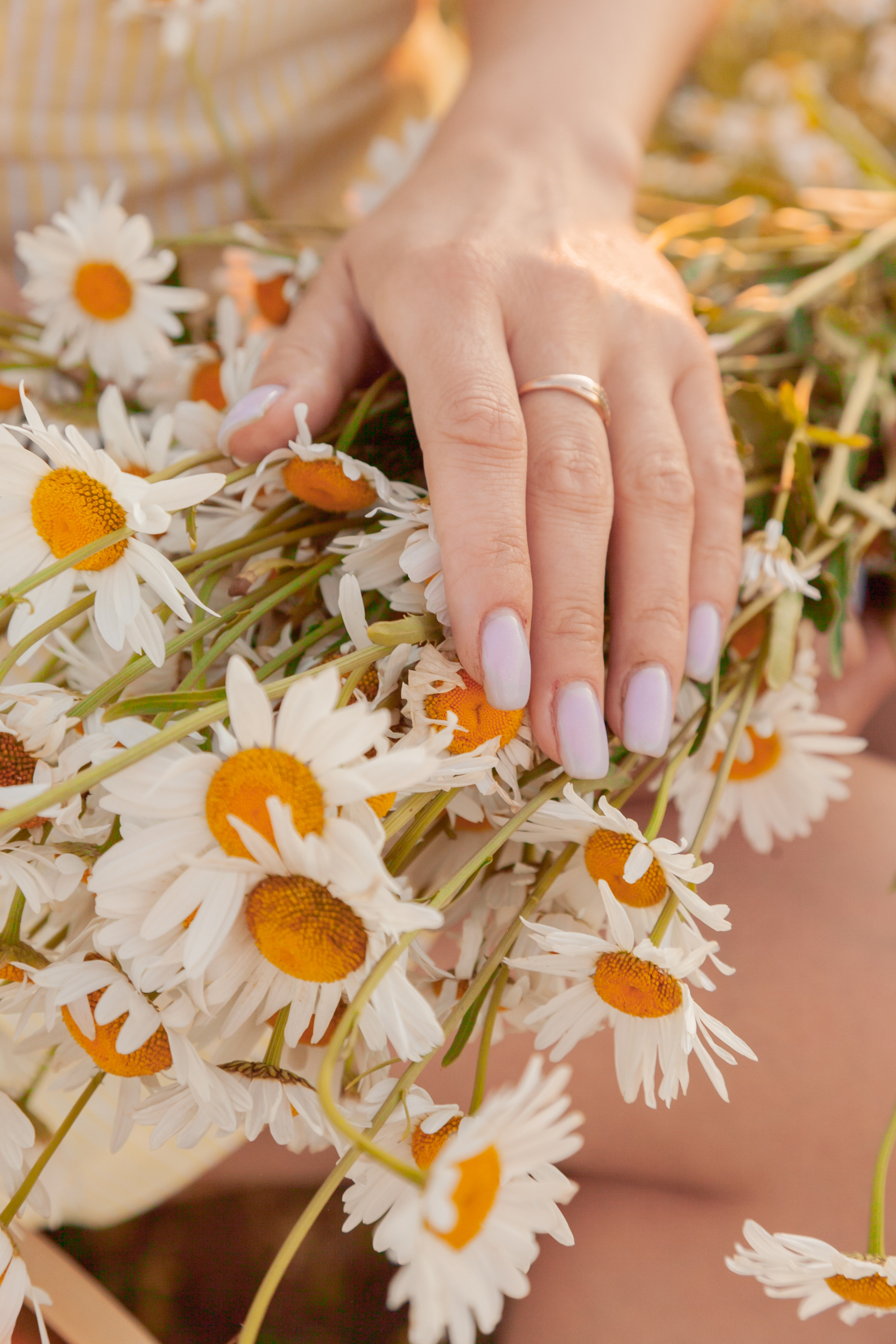 Ромашковое настроение. Фотограф Татьяна Воронова, Детские и Семейные фото